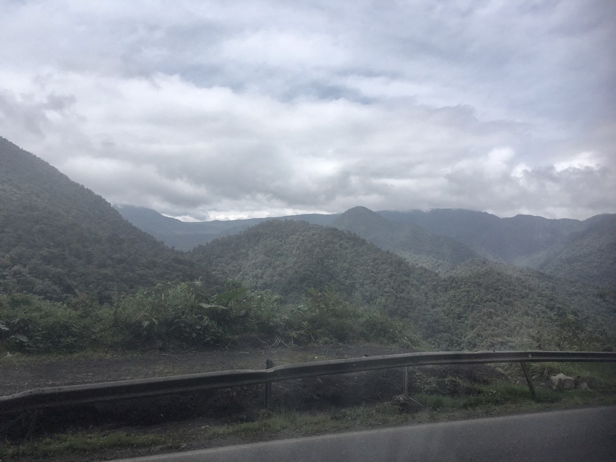 526230F7-8F76-49CC-803C-30B6F075B5C6