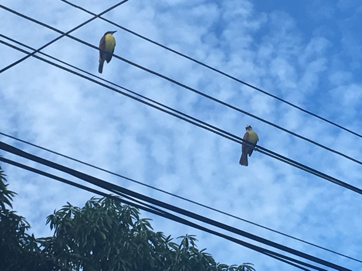 02227120-C033-48E2-9F09-922F5FA3F18D