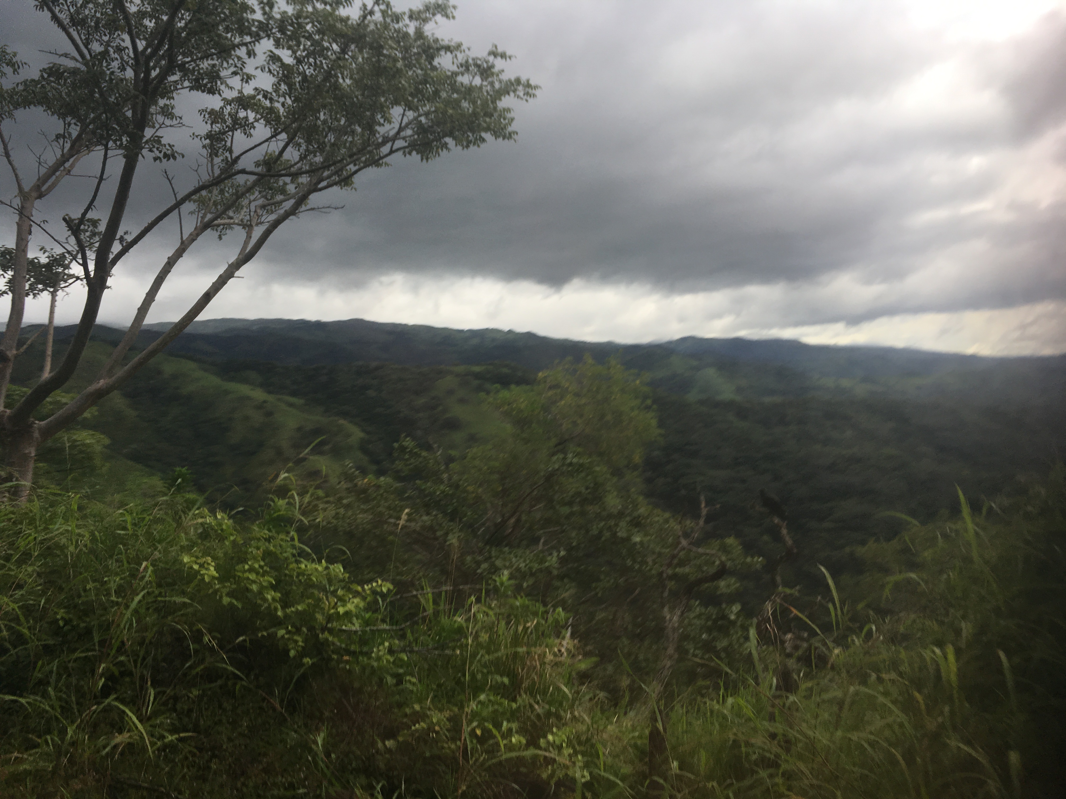 0477FA5C-A5B8-48D5-85C2-F917CCC34819