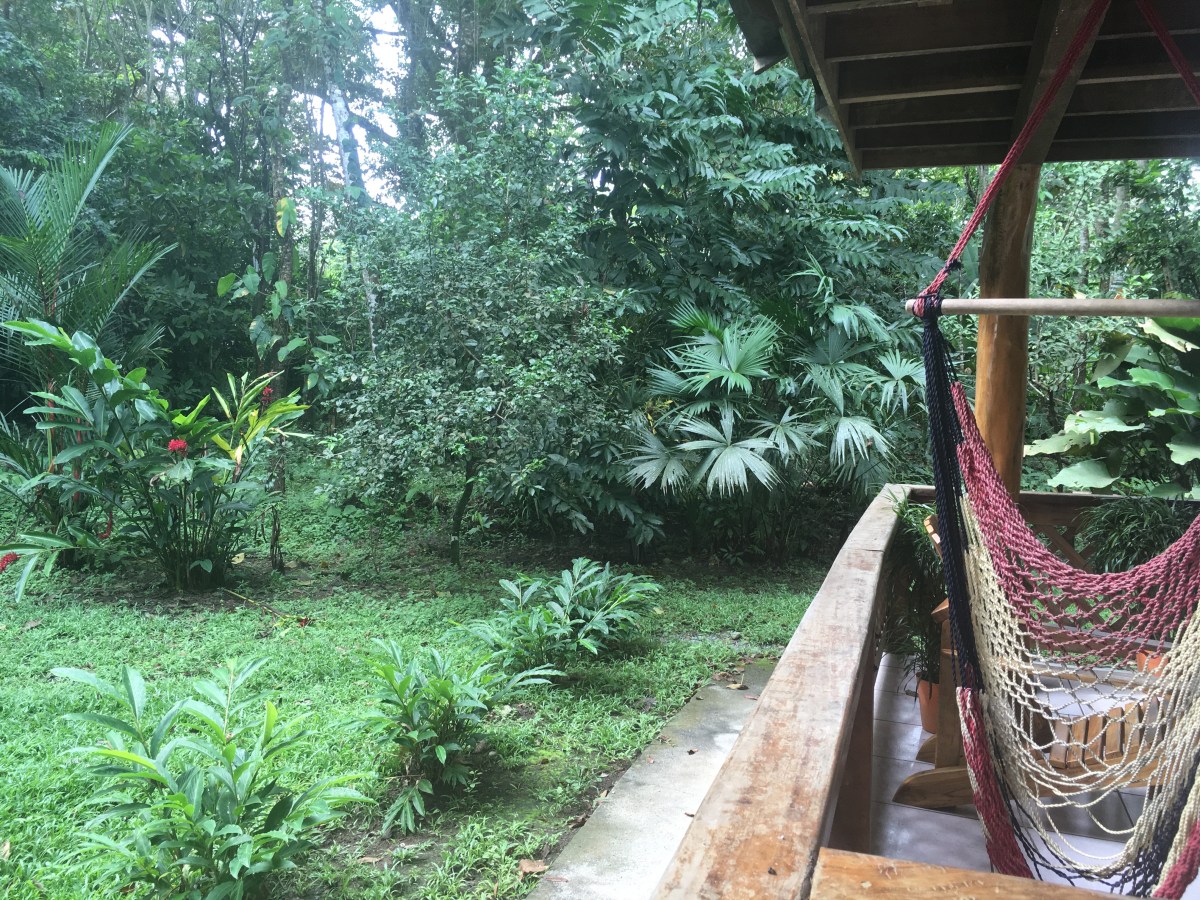 0D0B702F-886A-4367-86B8-9982AE7DF04B