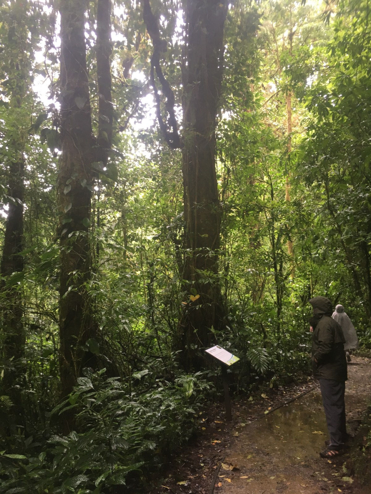 0F412DB4-A6AE-4BD5-AFC0-677EA8FB9AD0