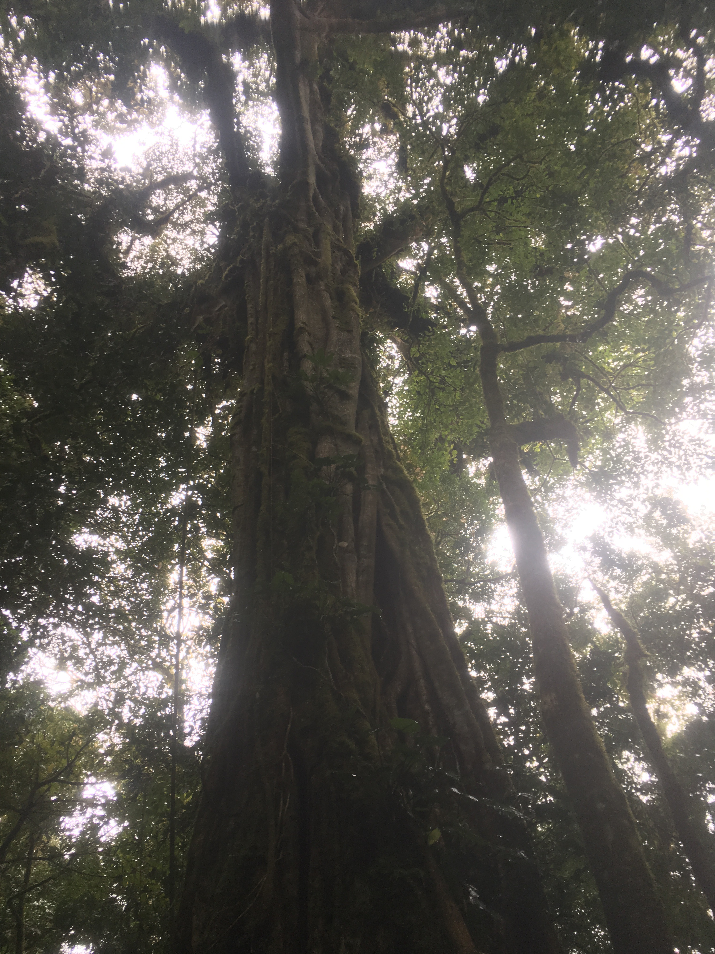 1F617EEC-ABE5-40F6-99F5-3485E6037433