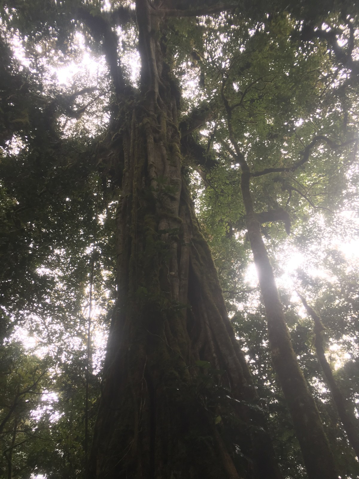 1F617EEC-ABE5-40F6-99F5-3485E6037433