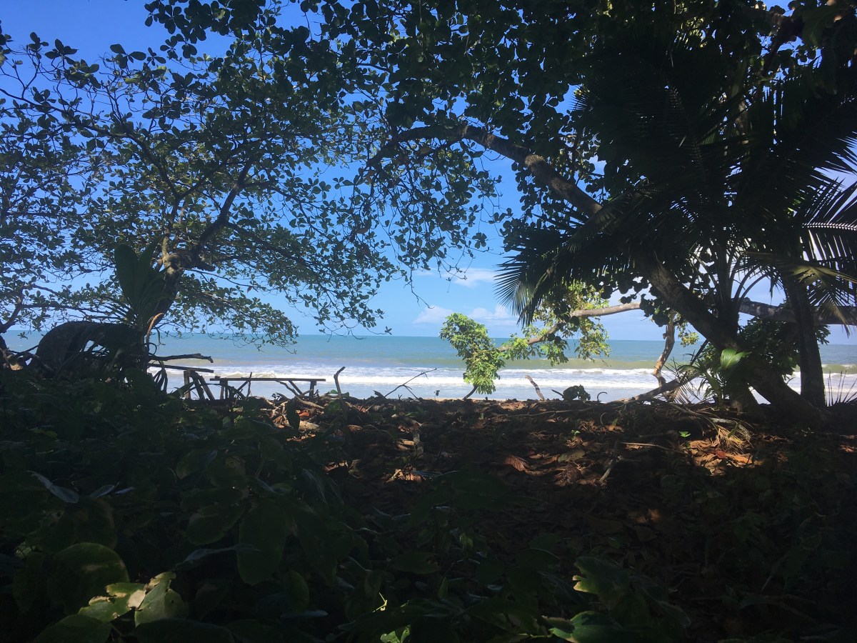 262403C3-D973-4B49-98BC-A717C2E33F74