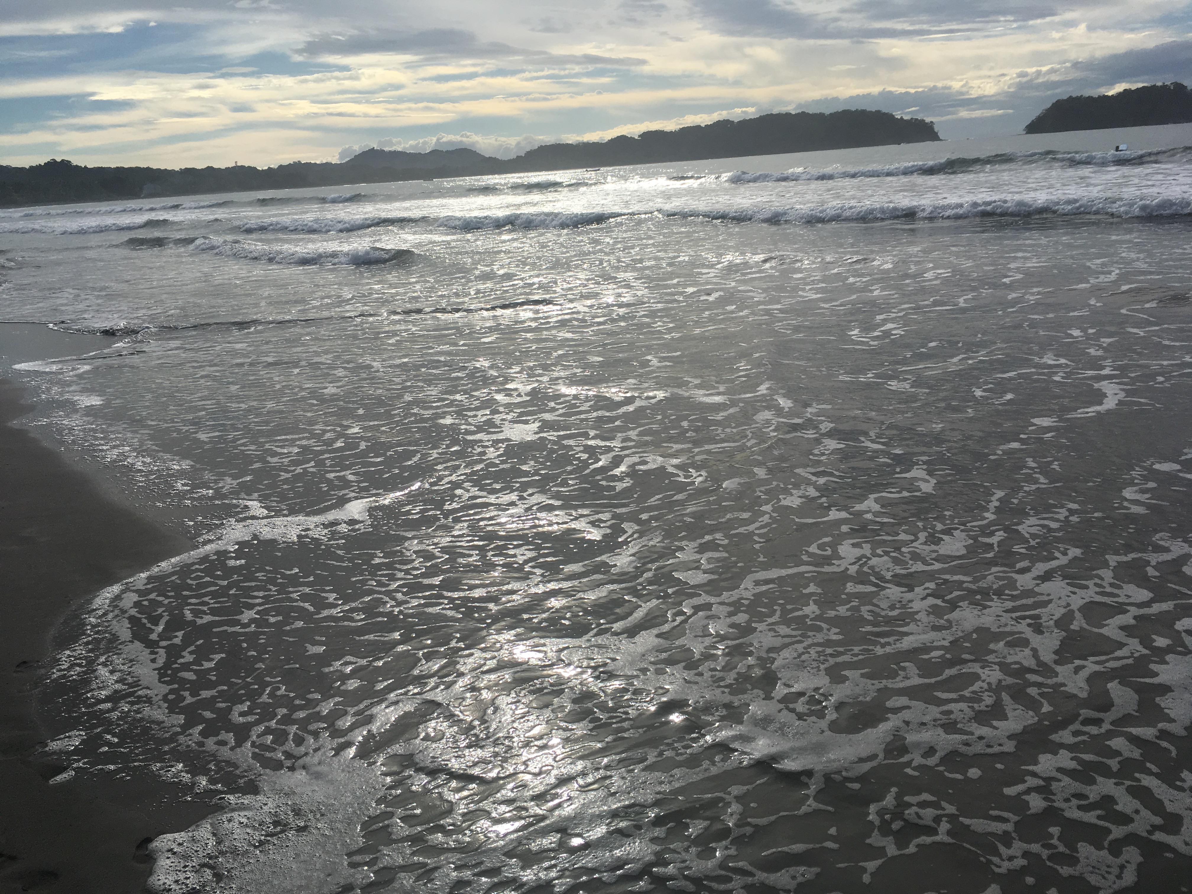 2ACF8FF6-2E69-49F0-AA88-C7551D437EC9