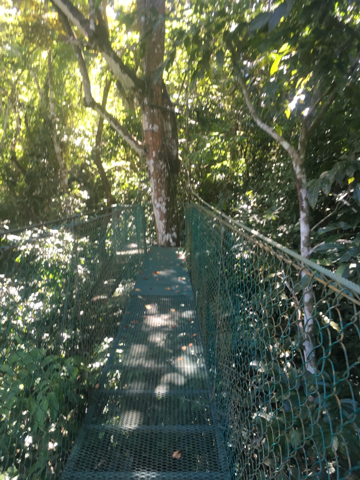 2EFC572B-AE6A-48AE-AACB-EA5D248B1758