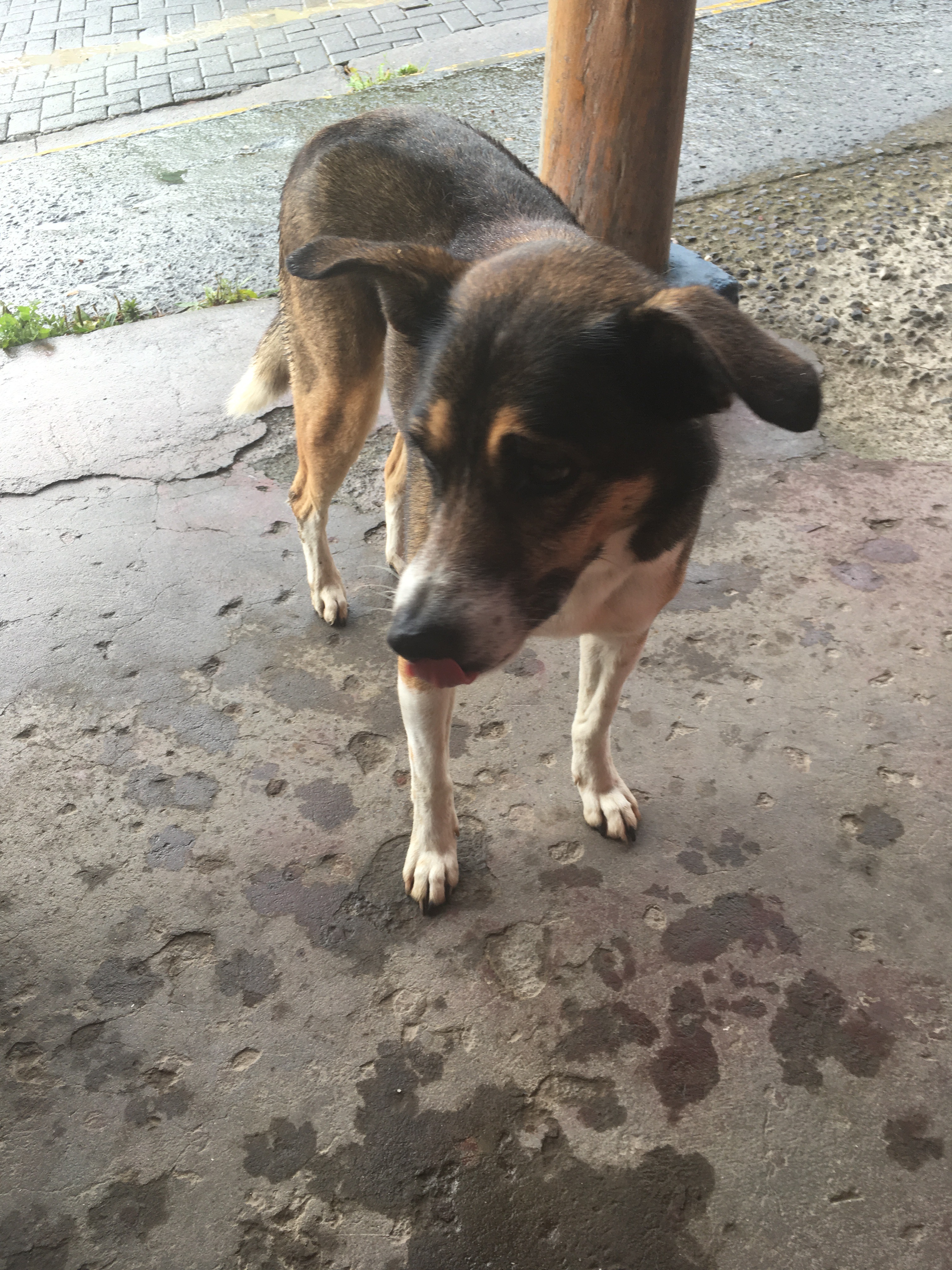 34F69FF1-D171-4CF5-8B67-C19D1A64DB4E