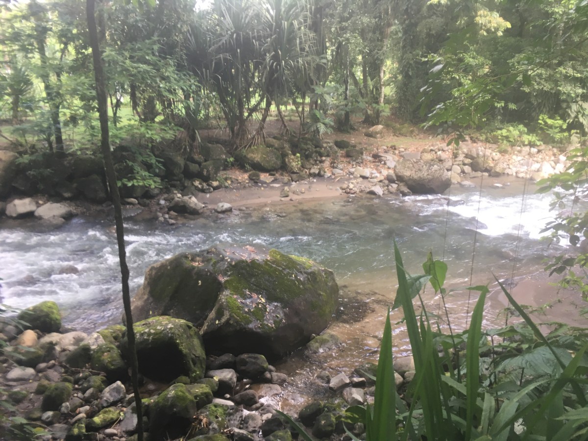 35EF1D8F-FE0A-4BCA-992A-928C90B54866