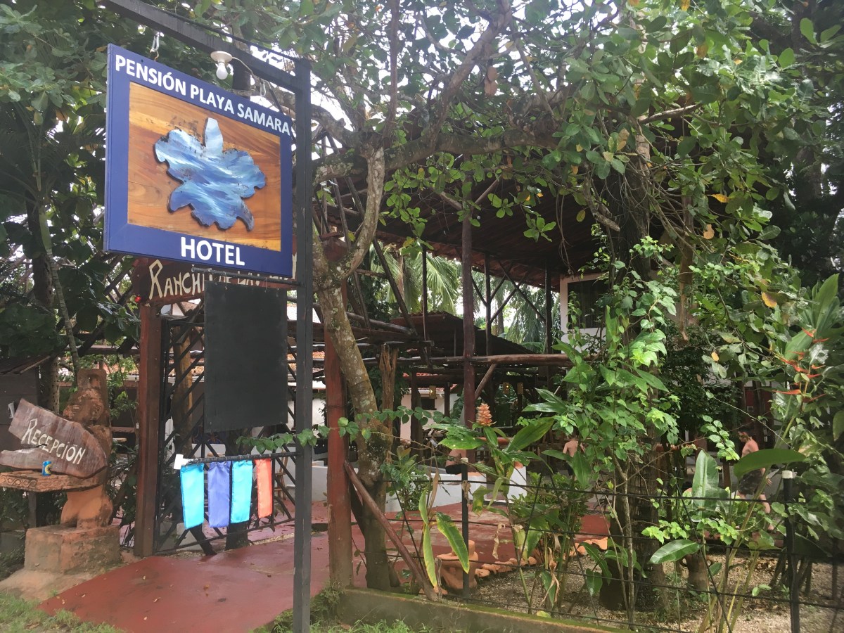 371EB9E0-D4A2-4722-88B8-115708E71E5F