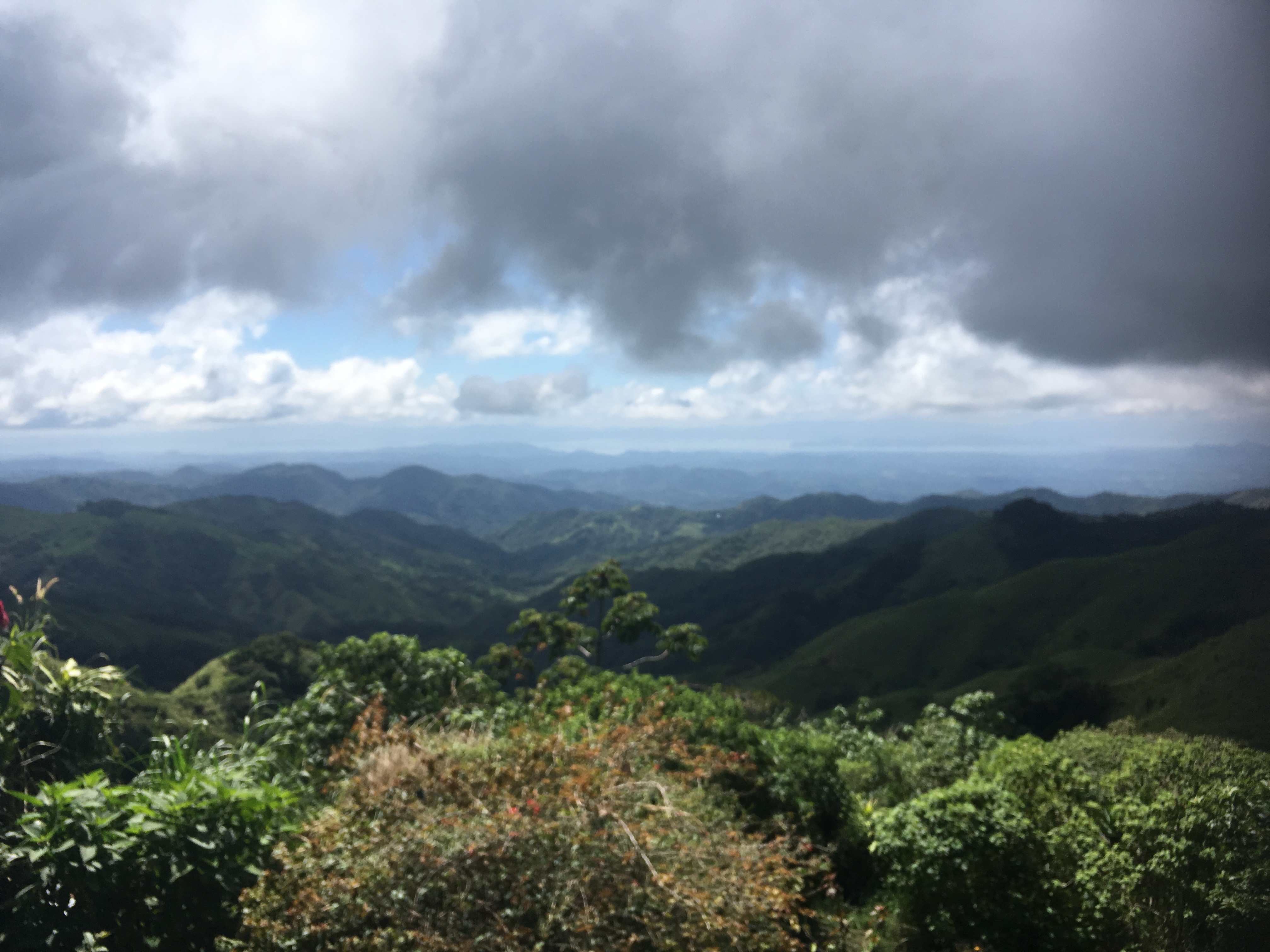 3A0B653D-BE6B-49BD-A208-7BF509F256BB