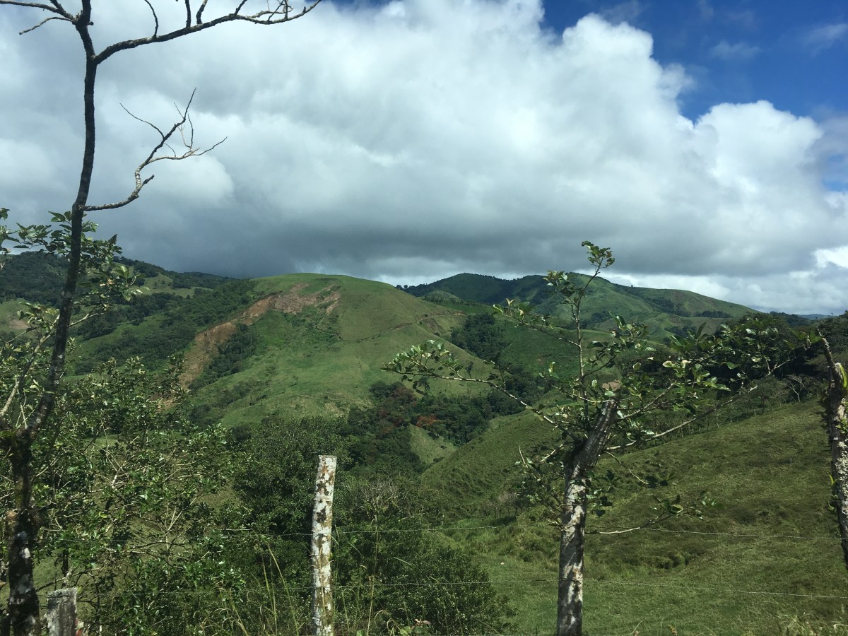 3D41825D-C7CD-416F-B611-8405A321B957