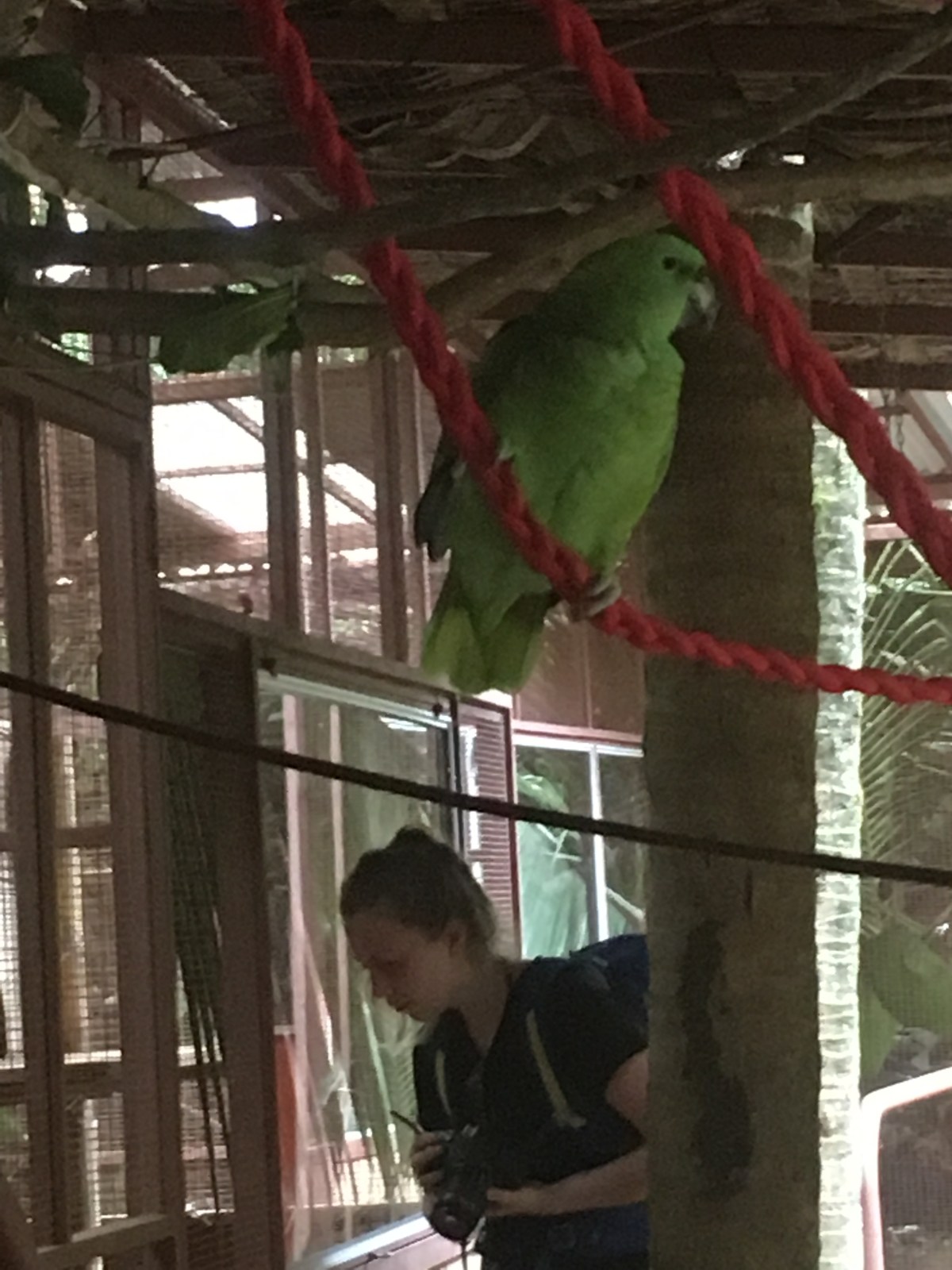 3E59597E-1E44-40F3-A853-995C4F758B9F