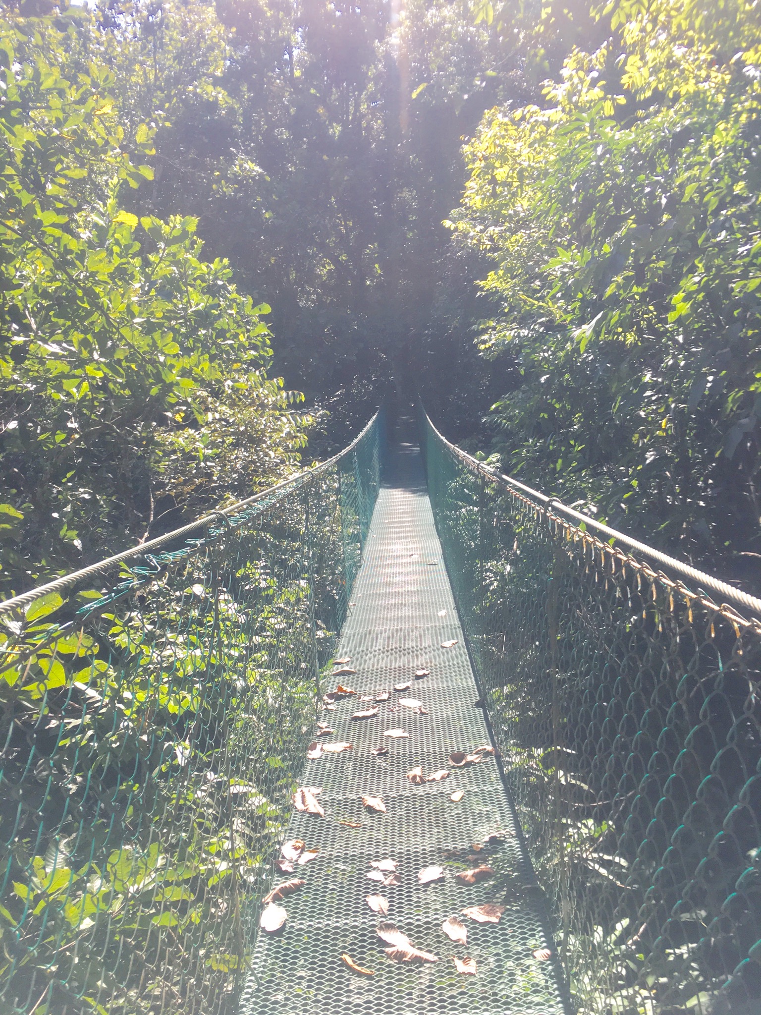 4275C209-07E3-412E-A459-885702751CD3