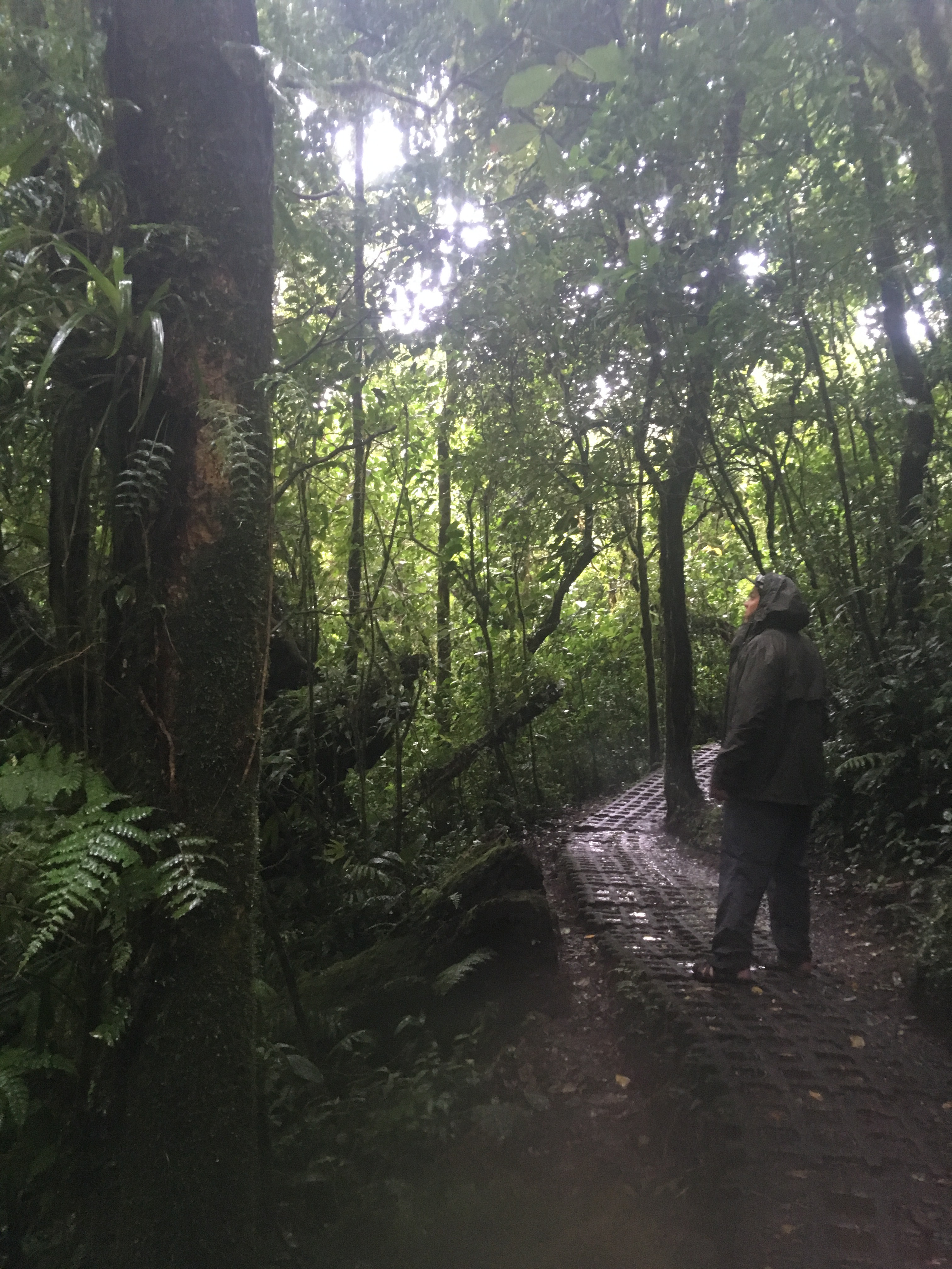 453DD368-8B75-4051-BE82-EE8C35A3A91D