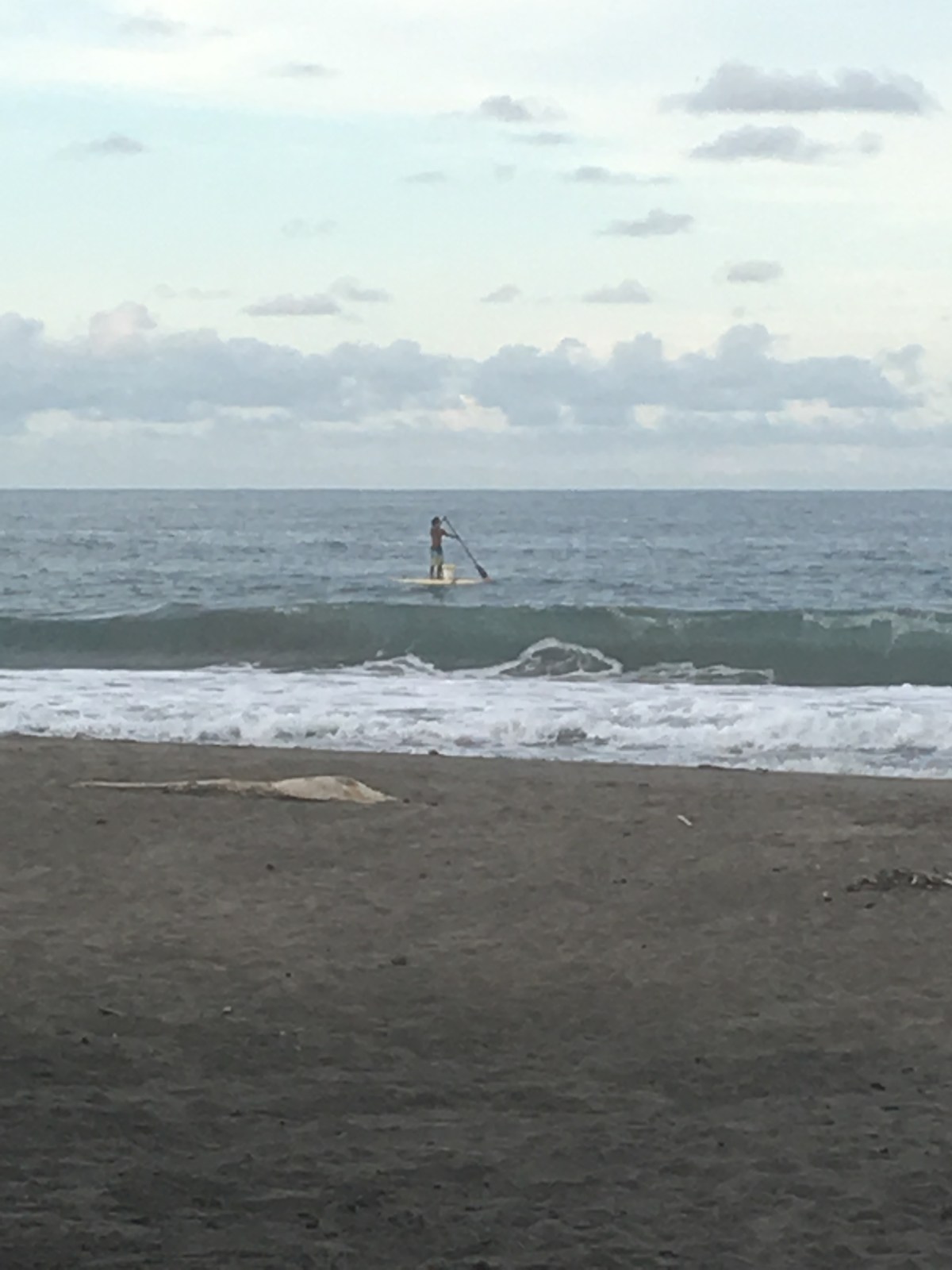 4F00ADEF-EA2B-43FD-B6A5-F9F768ED60CF