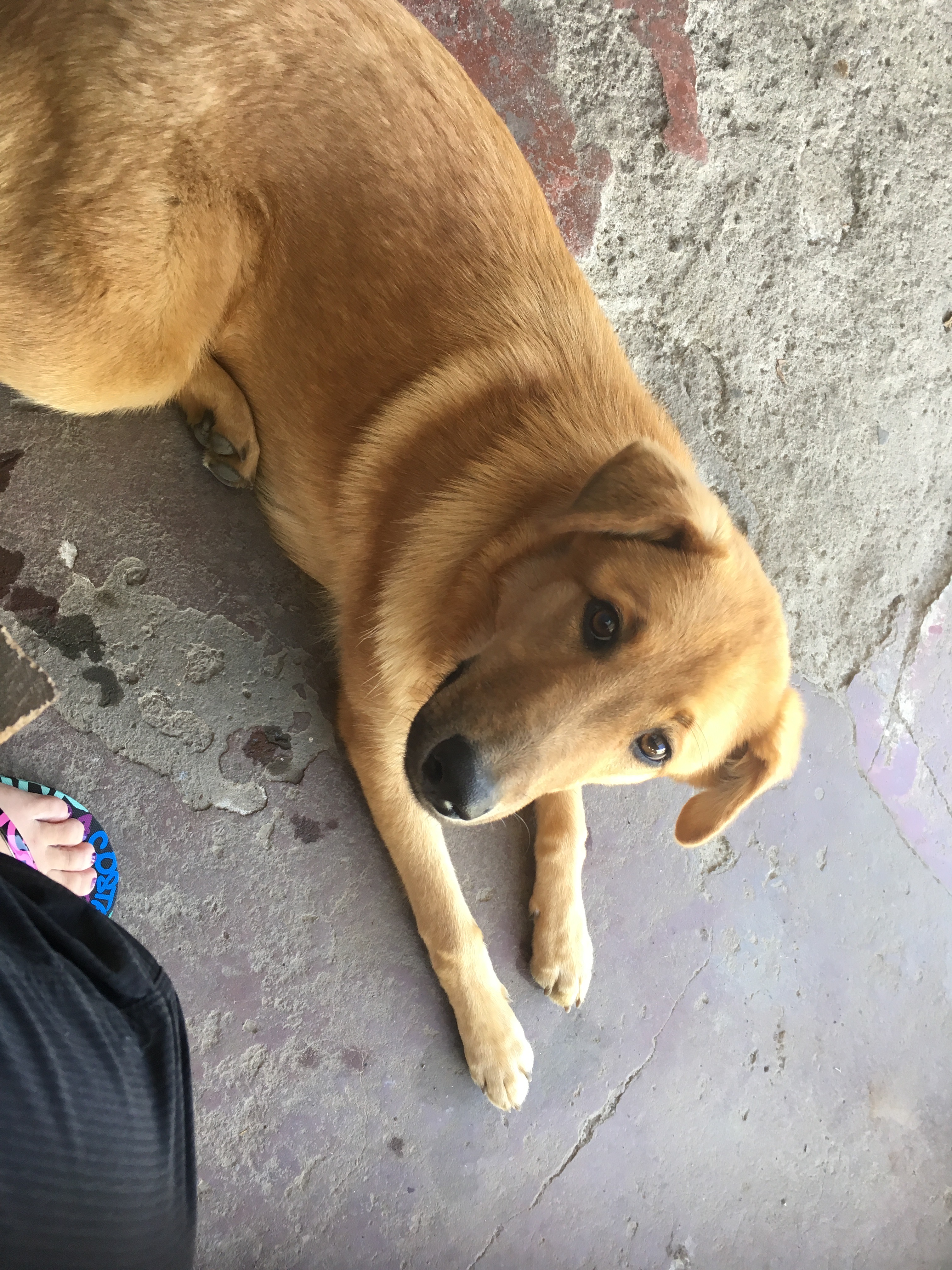 53BC77A7-C904-4DA5-AC6C-6E7D28A00DF5