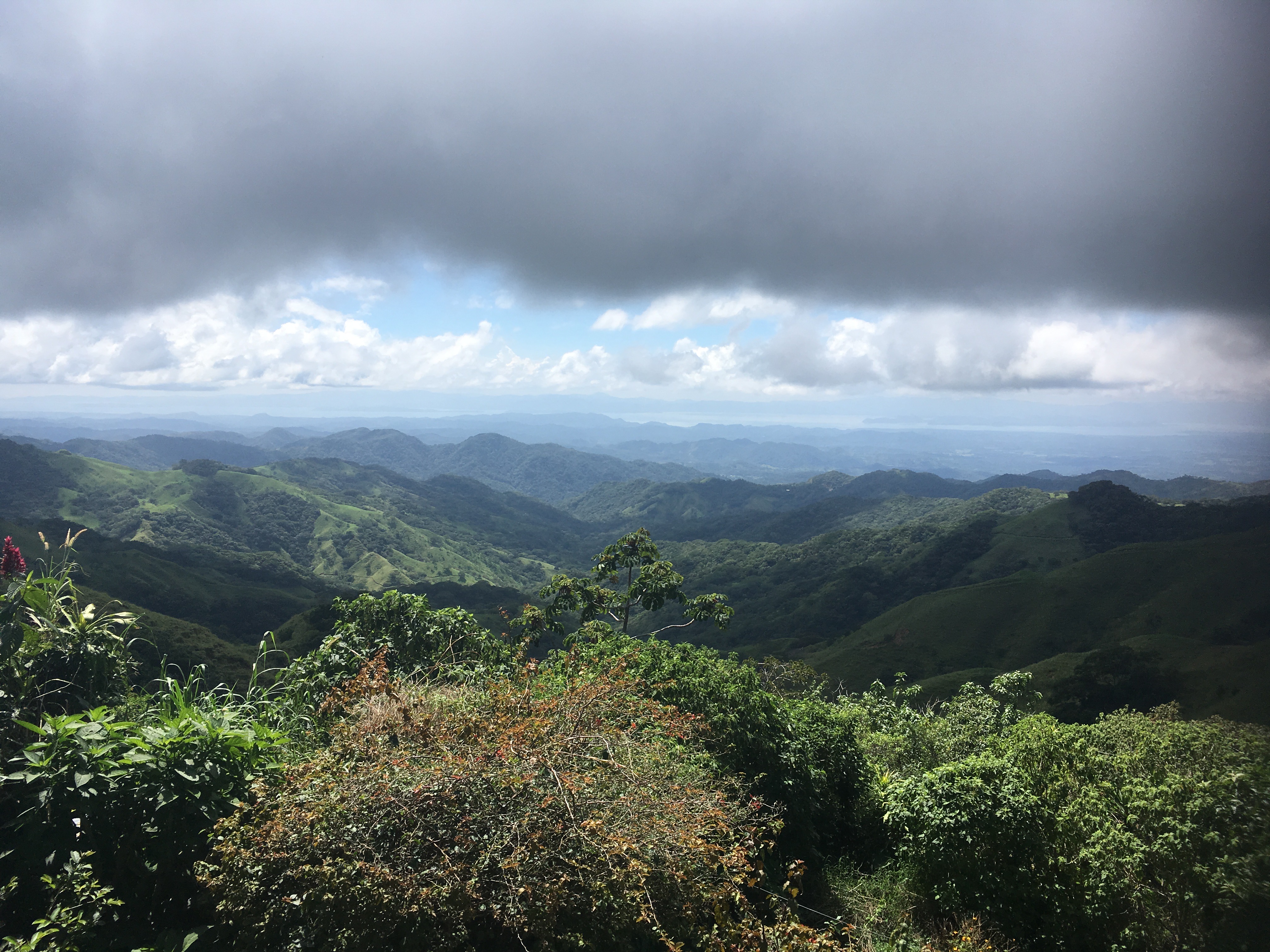 5B08AD24-9342-4BF3-B375-8E4765912E4B