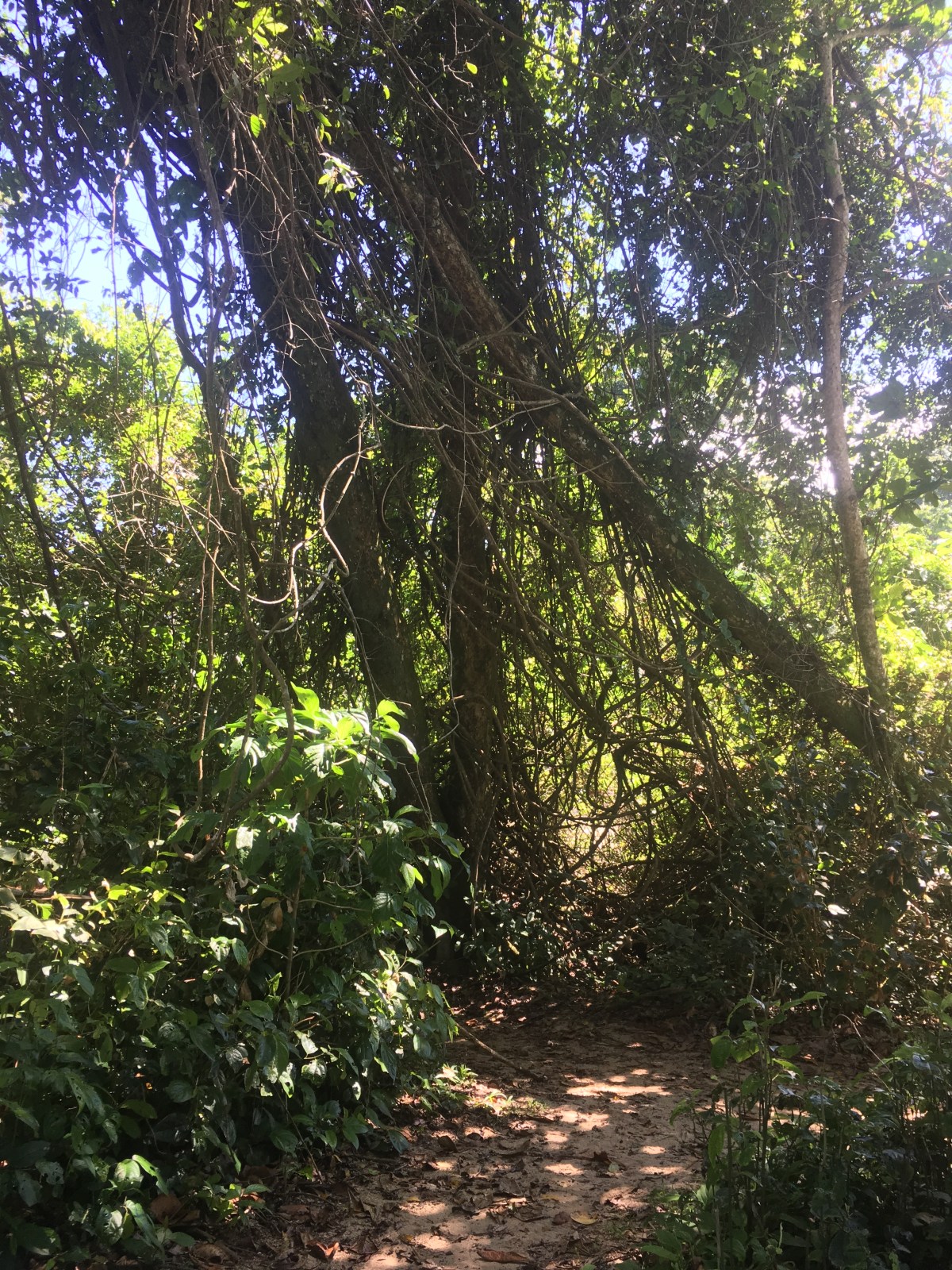 699DC679-1C92-4A19-B318-84767EC04D88