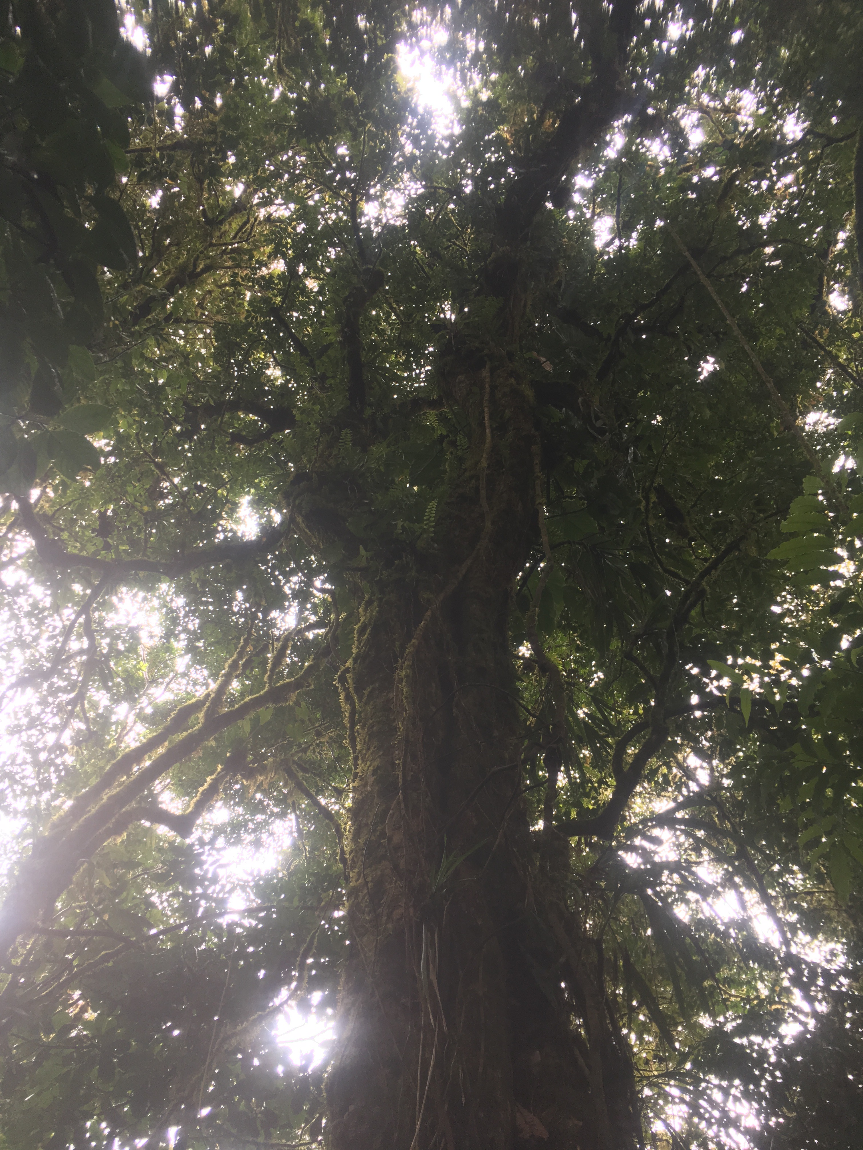 6E5B3E0C-821A-40CA-94AF-73715EF074CF