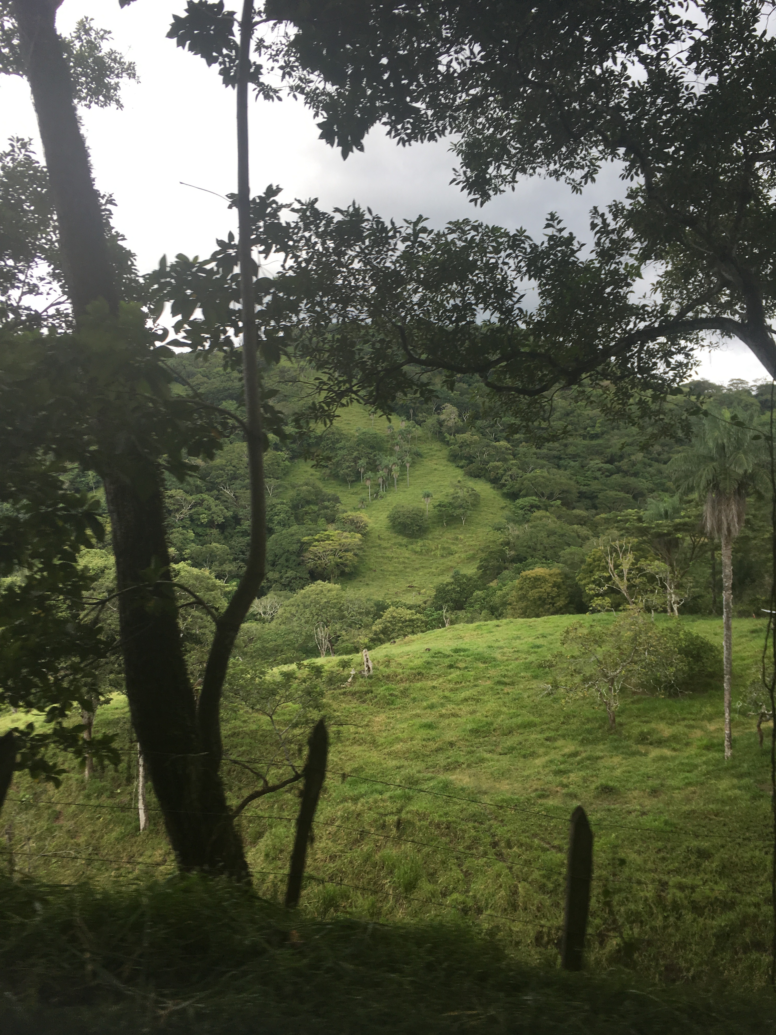 773BC26F-64AD-4564-B08F-8676048958B8