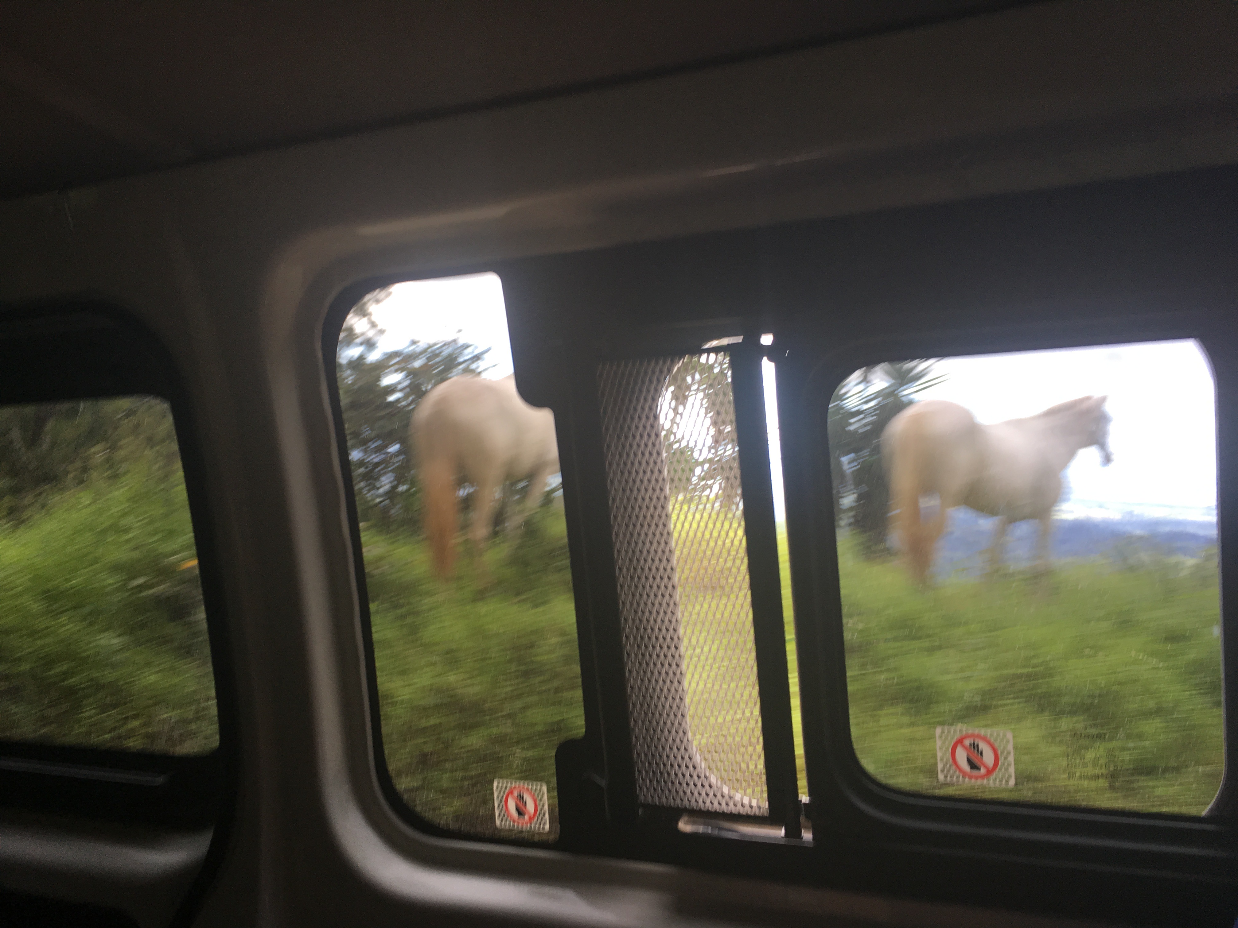 774ACD16-F6DB-4FFB-B139-A7583E6908E5