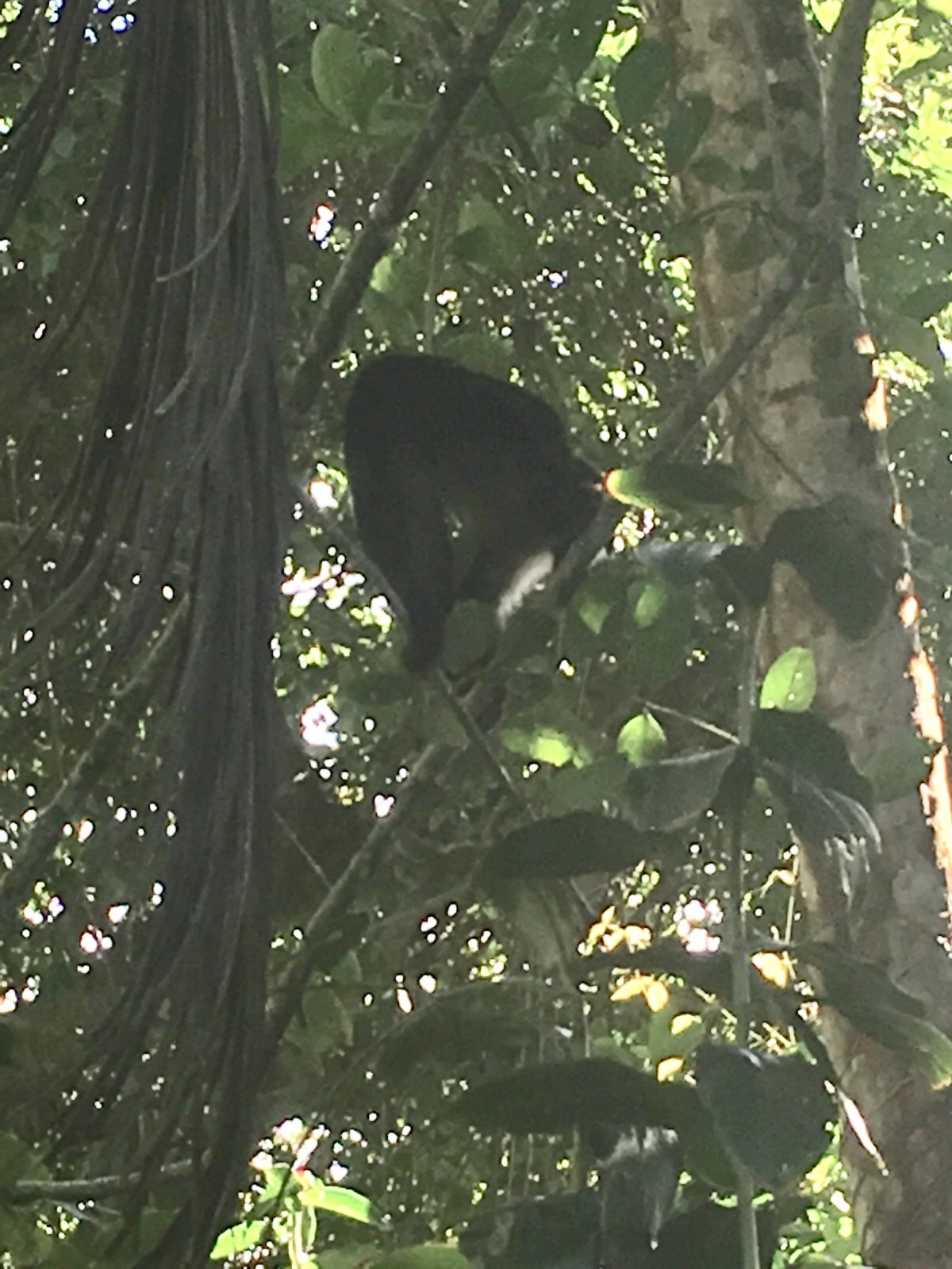 7D06A3CE-1261-49F8-A239-A35DF9A584F4