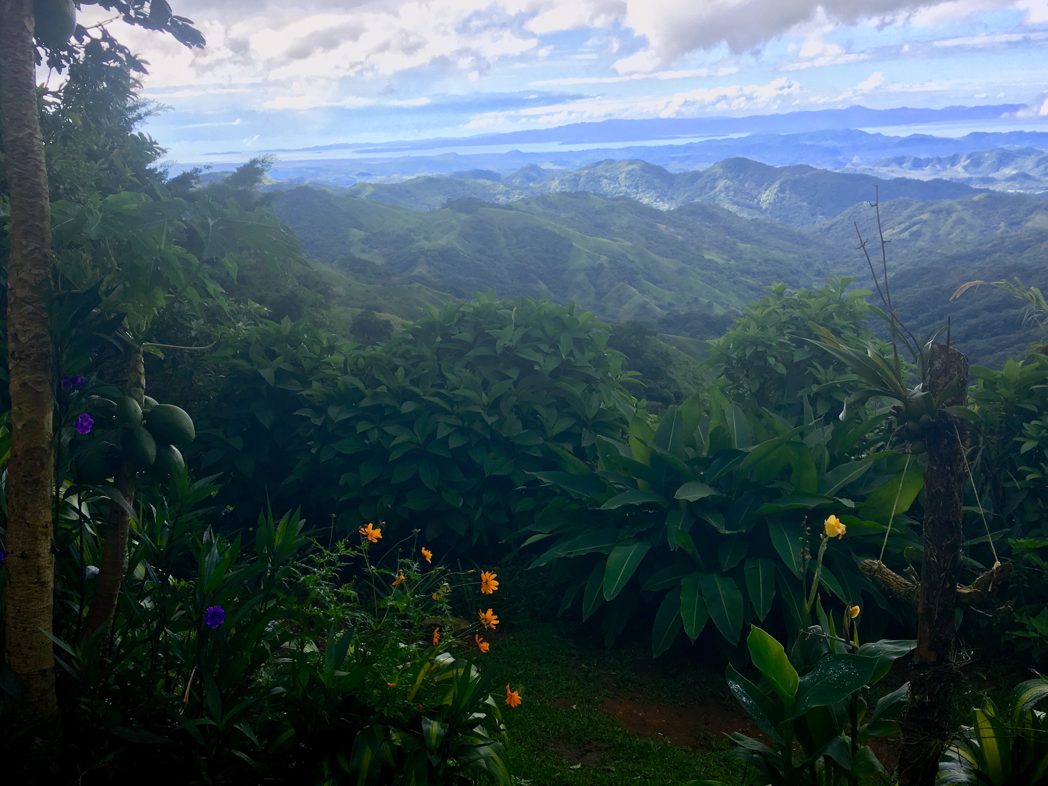 7F649A65-FD17-4CB2-AD80-BFFAA6C9356F