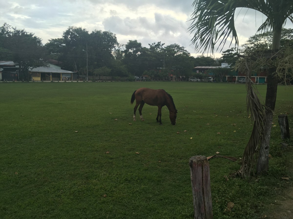 81D778C9-1C6F-4C31-A273-AF7D5401ED09