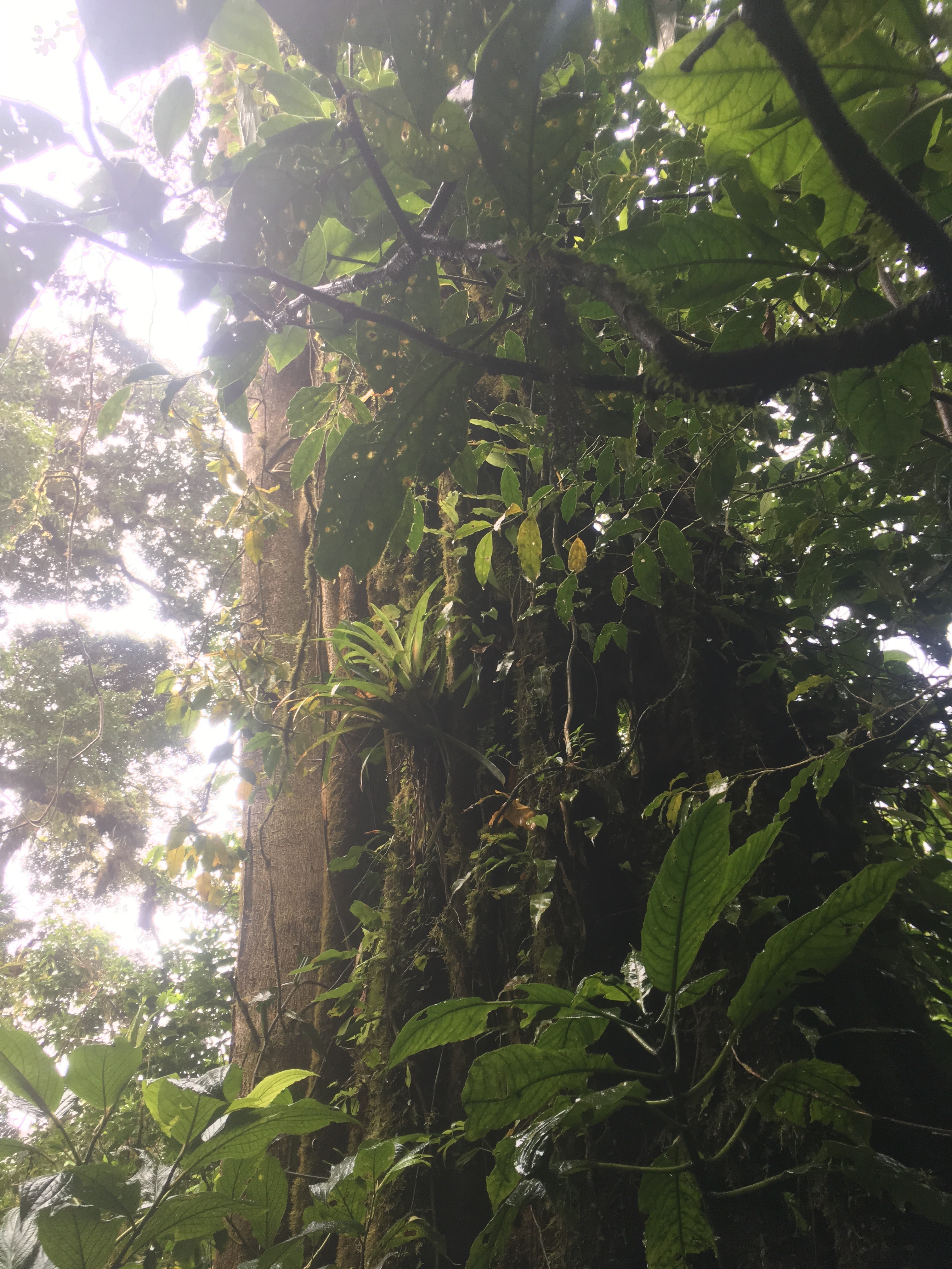 8A1184DF-A5FF-4431-8440-E451C22BA564