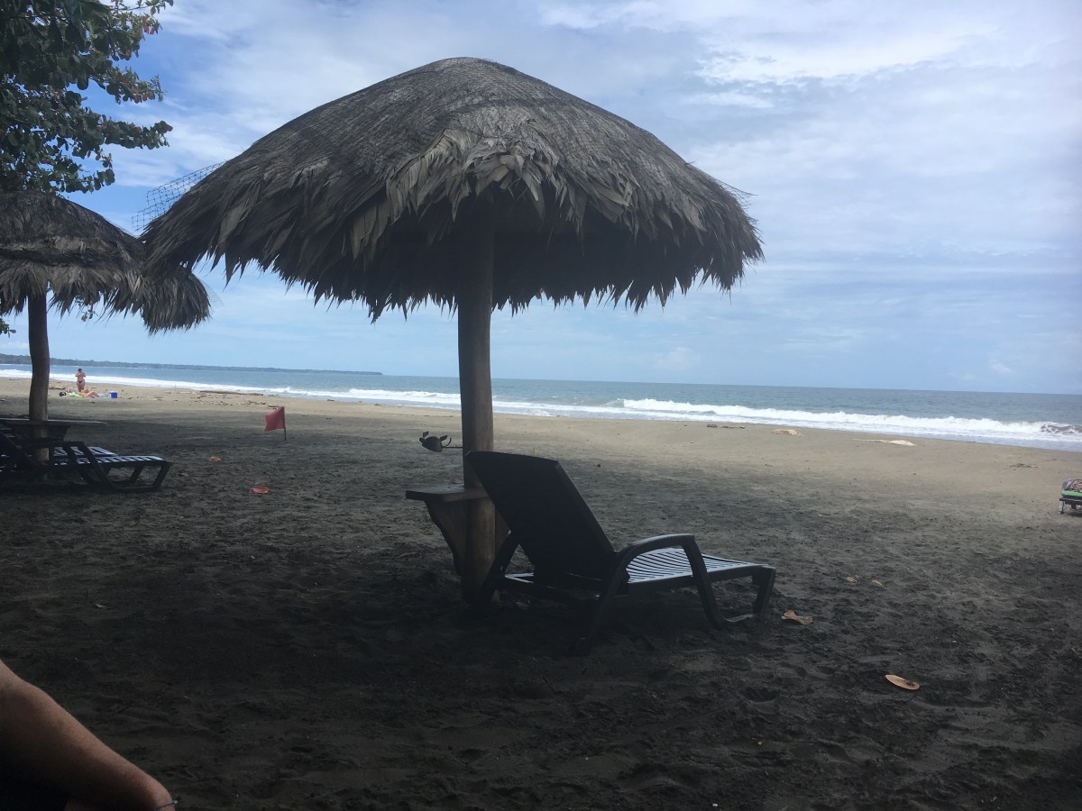 8AA3E352-85D6-4721-B790-0B19D221E8CC