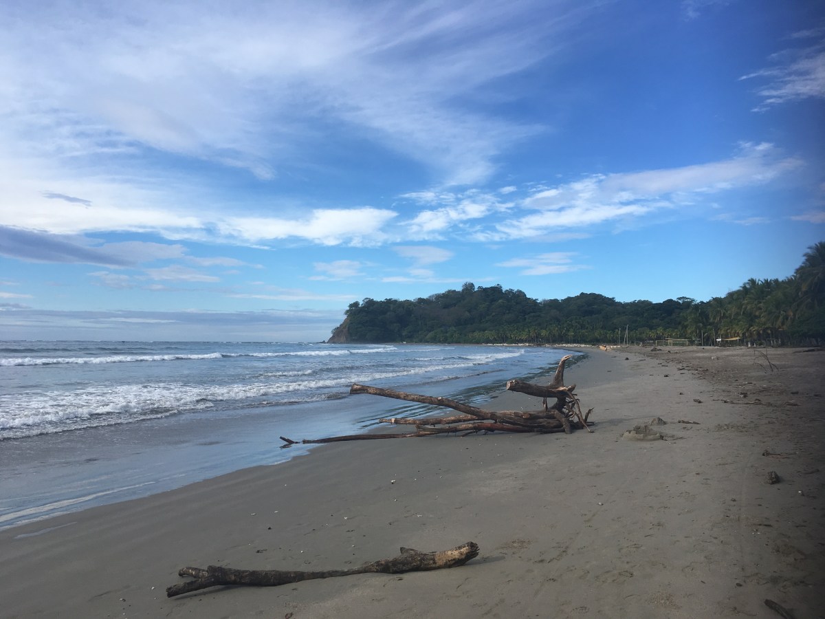 8D1671CA-CAC1-4B9F-B79D-E028A2F7A934