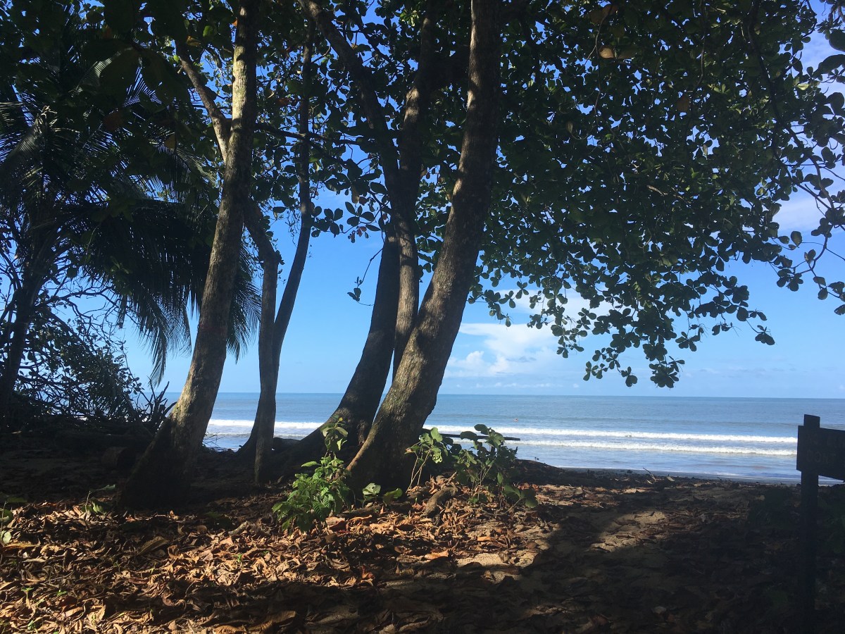 953B9B49-3D7B-4CFA-89C4-C1CF676EA3DA