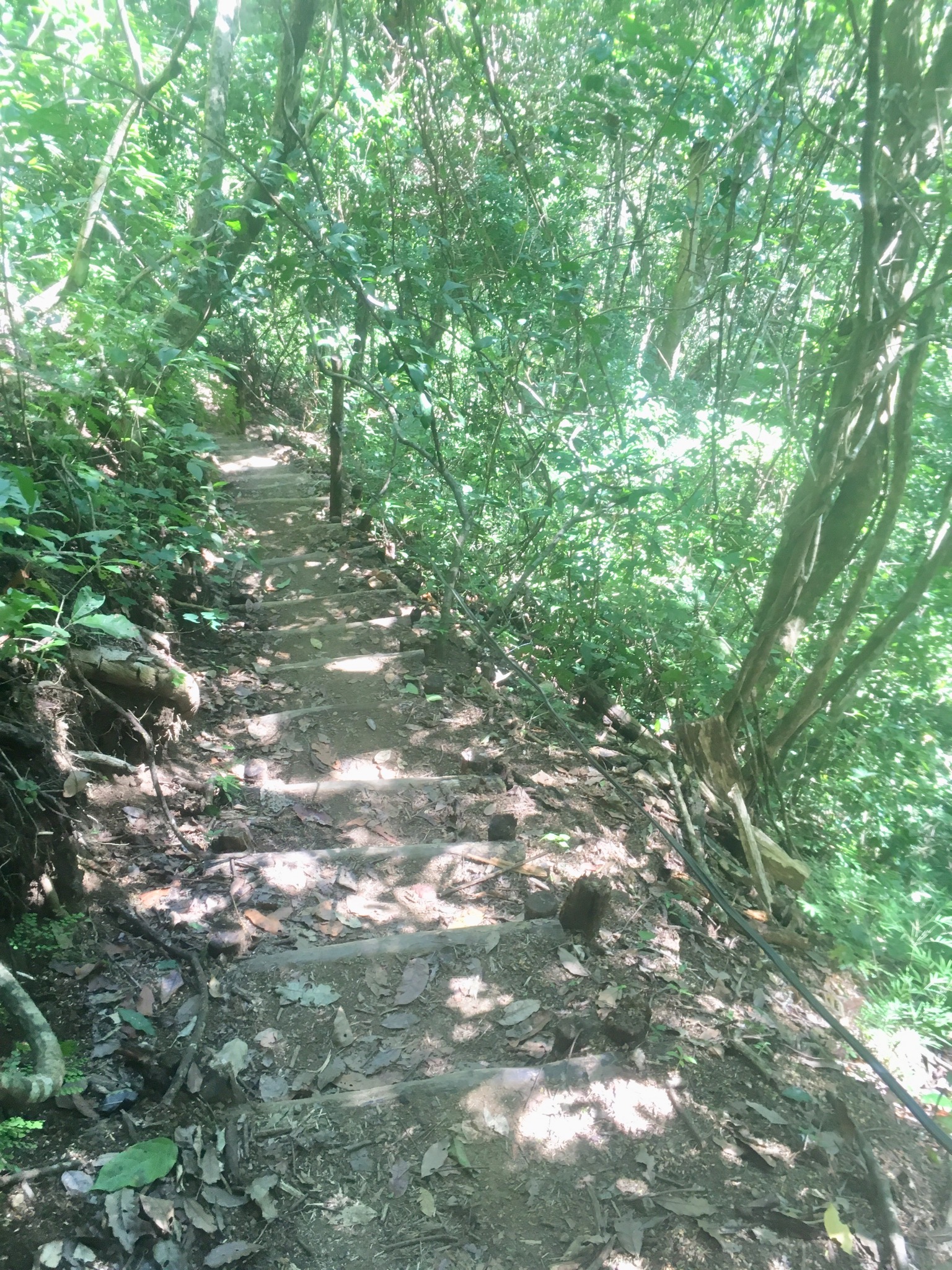 97F9B8E1-8AAB-413E-A6EE-1B0888A0623E