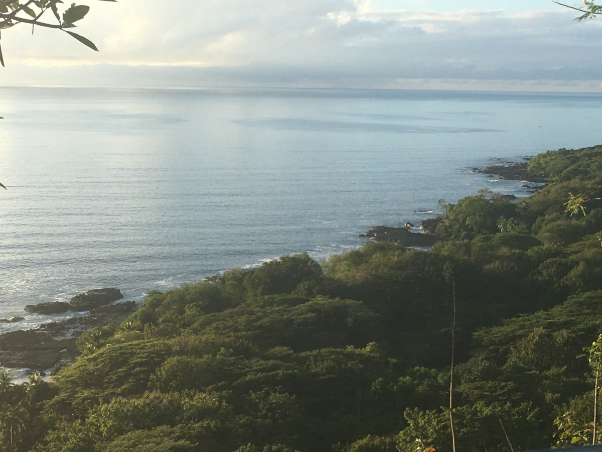 AD84AFCC-DCBA-4D70-90C2-CC87C6291422