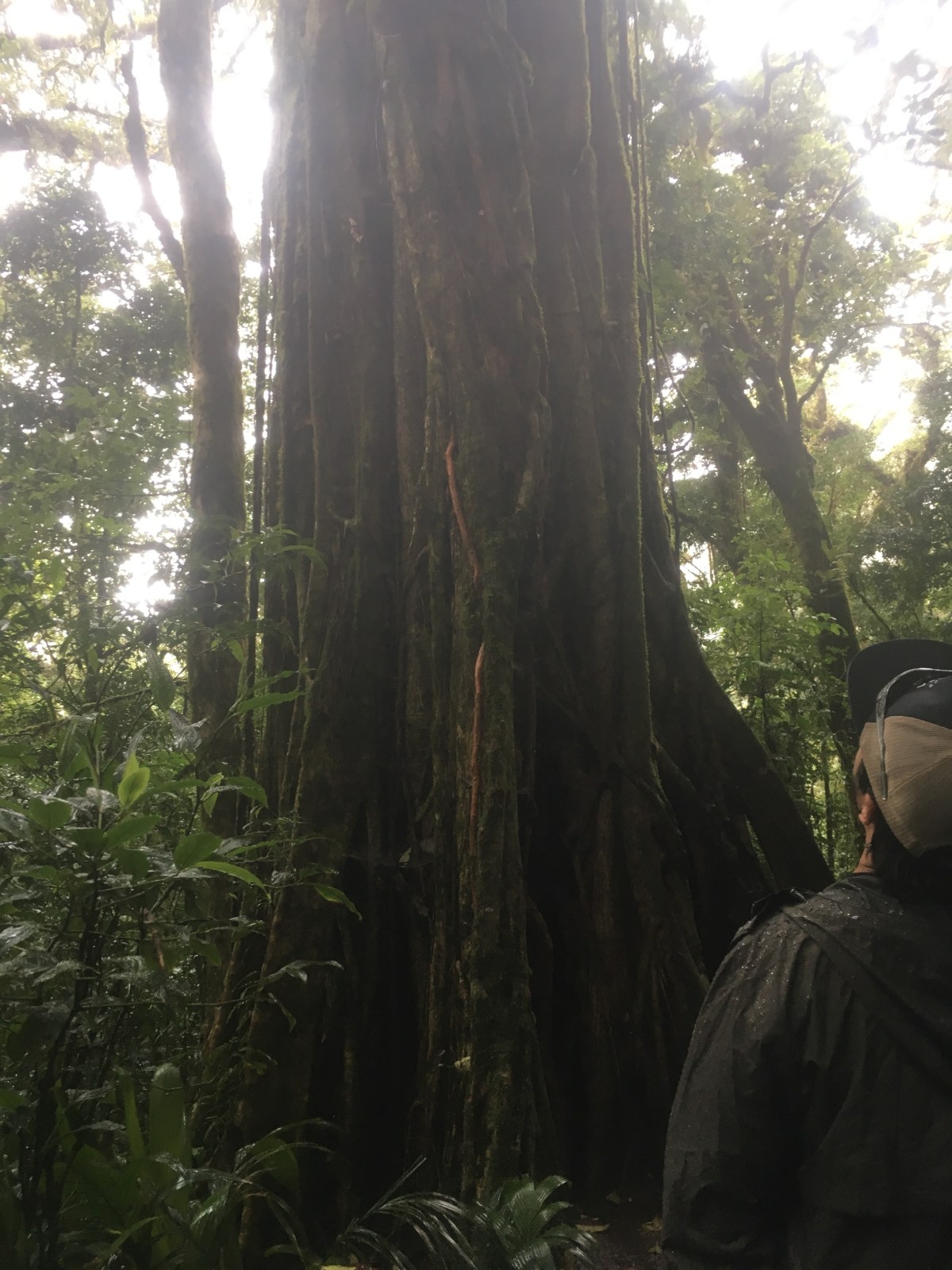 B042FEFB-A059-407C-95CE-74143AD74A68