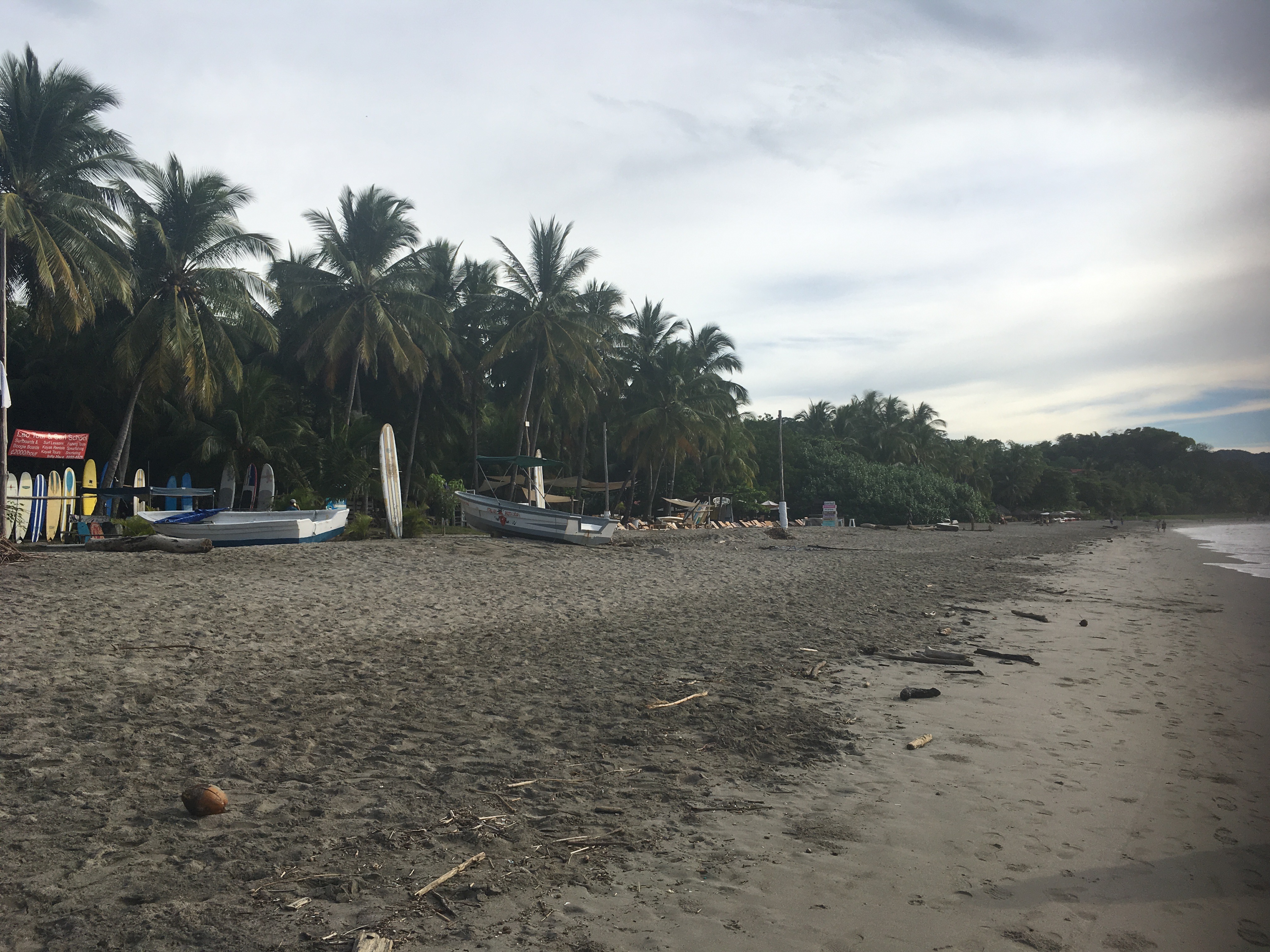 B2C99E07-0170-457E-8D25-4922638C0FDE