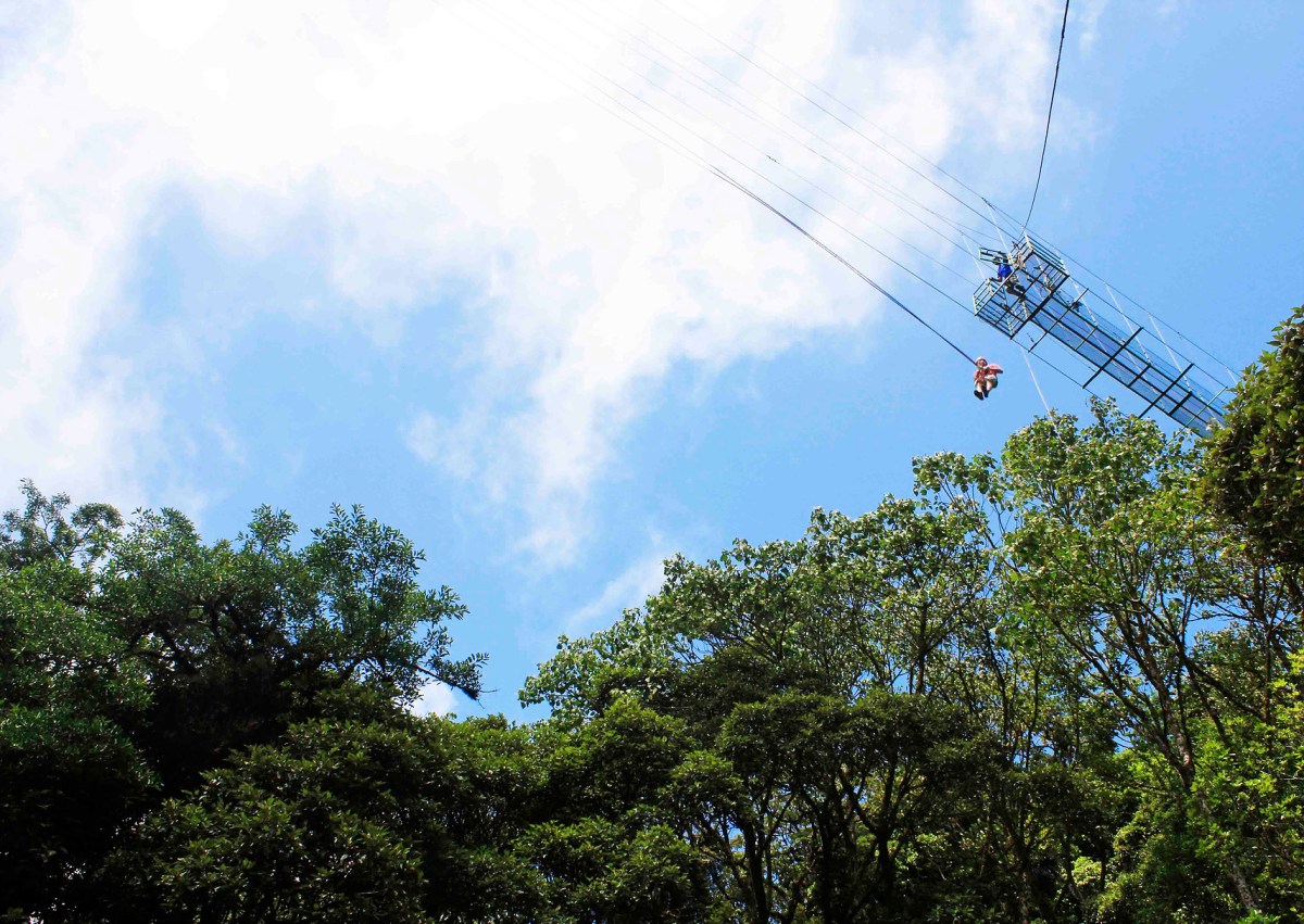 B960B1AC-9D47-4C3D-92CC-CD648A2BA06D