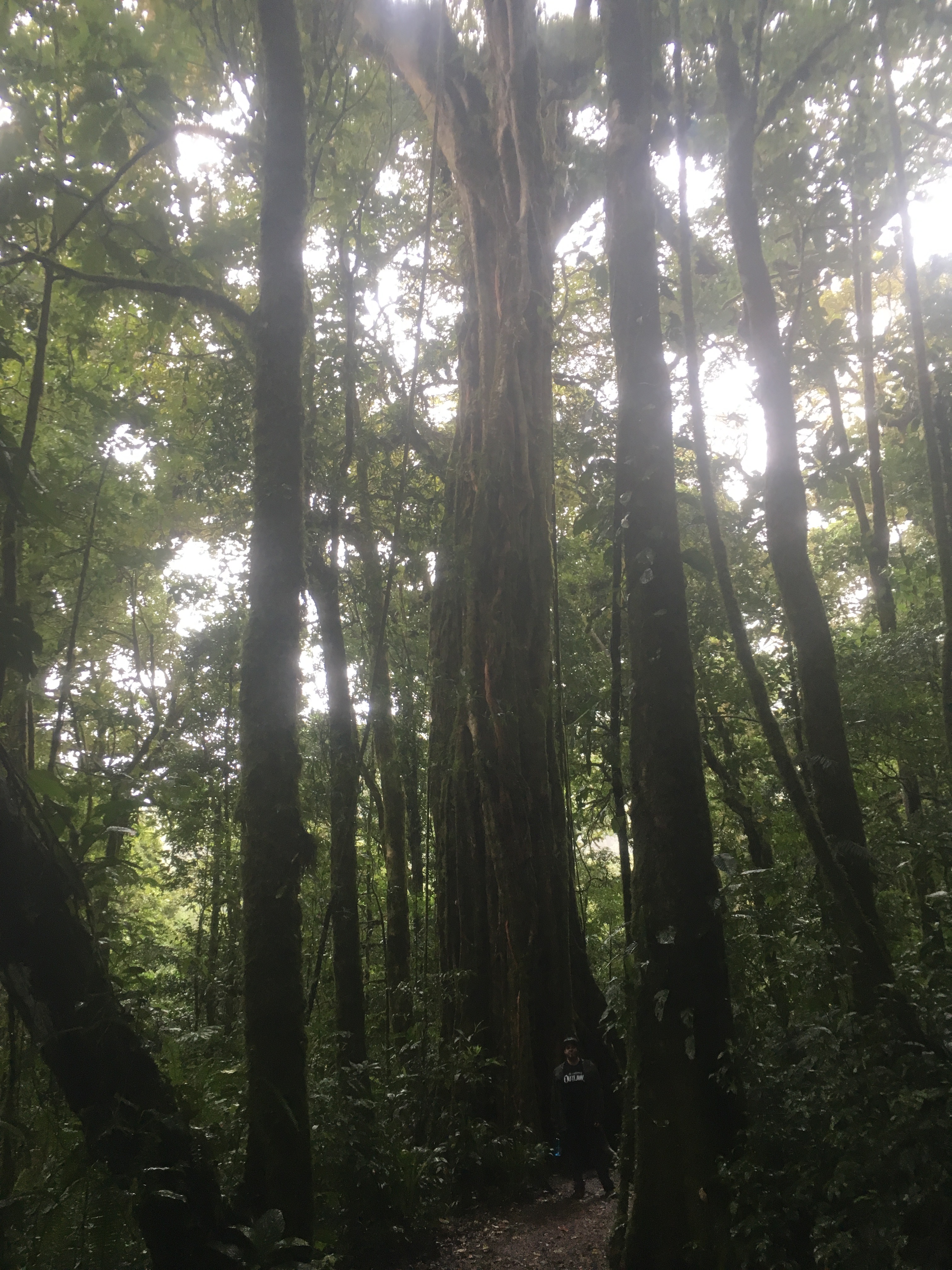 C99AC466-2D14-4613-BF66-6DCF392CFFC6