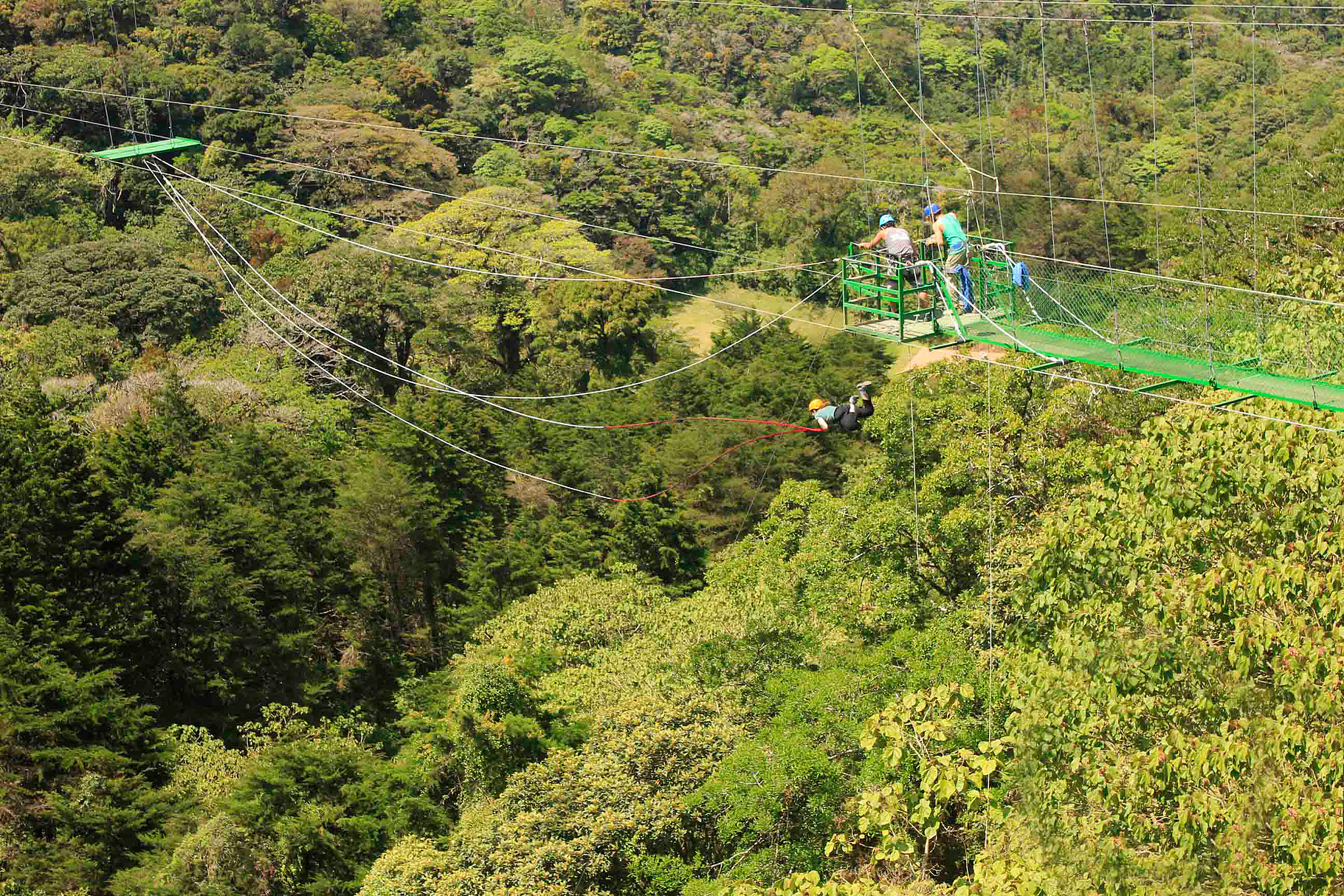 C9FC4CF5-4C65-4B99-8C49-460C5198AE68