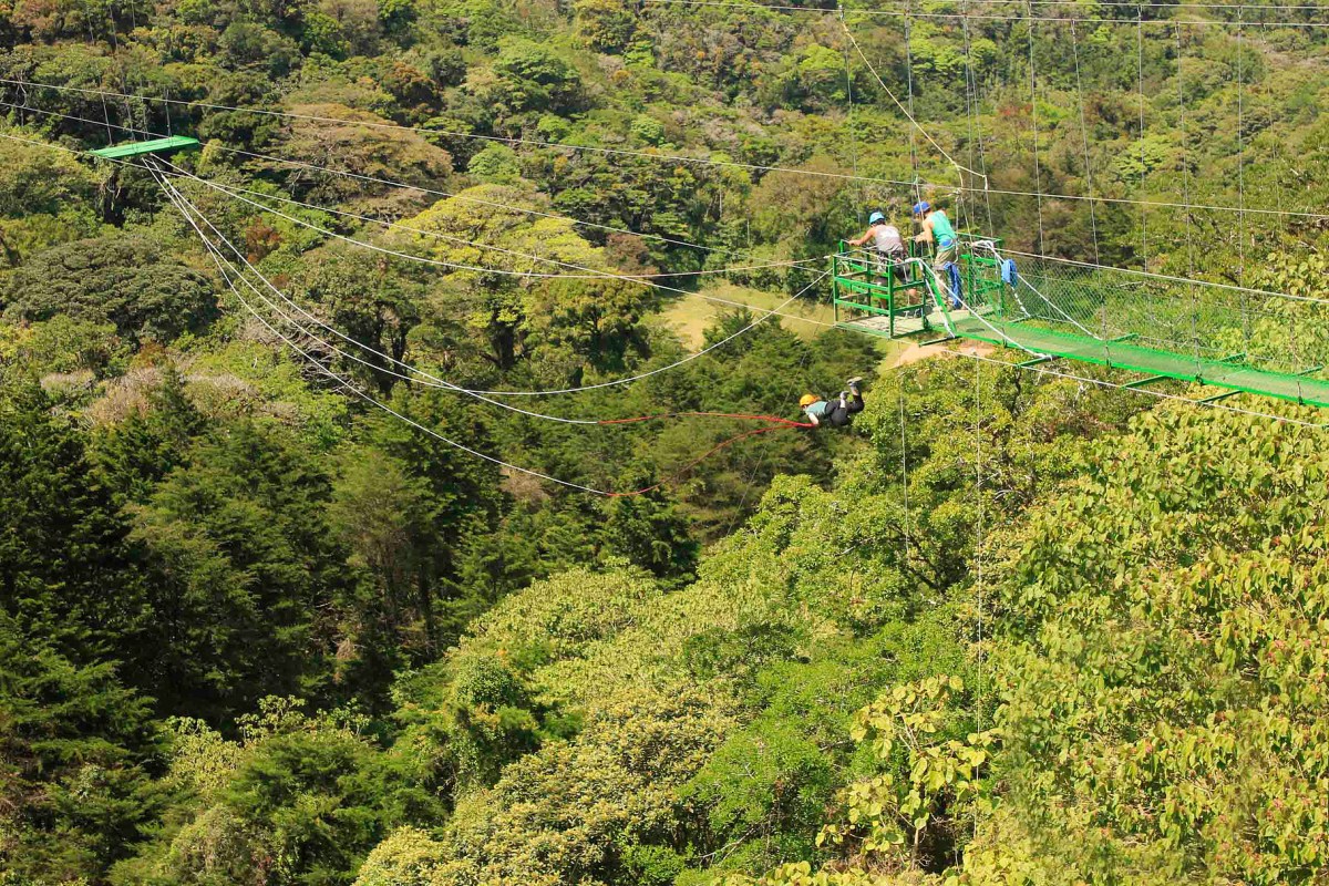 C9FC4CF5-4C65-4B99-8C49-460C5198AE68