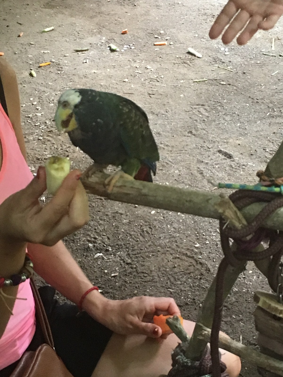 CCF67DF3-9AFE-47DB-A691-71C8A7EBAE80