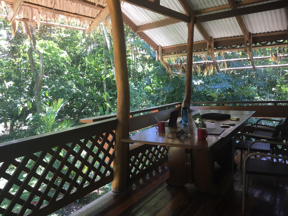 D2942891-E76D-4879-B544-6FB260E866A0