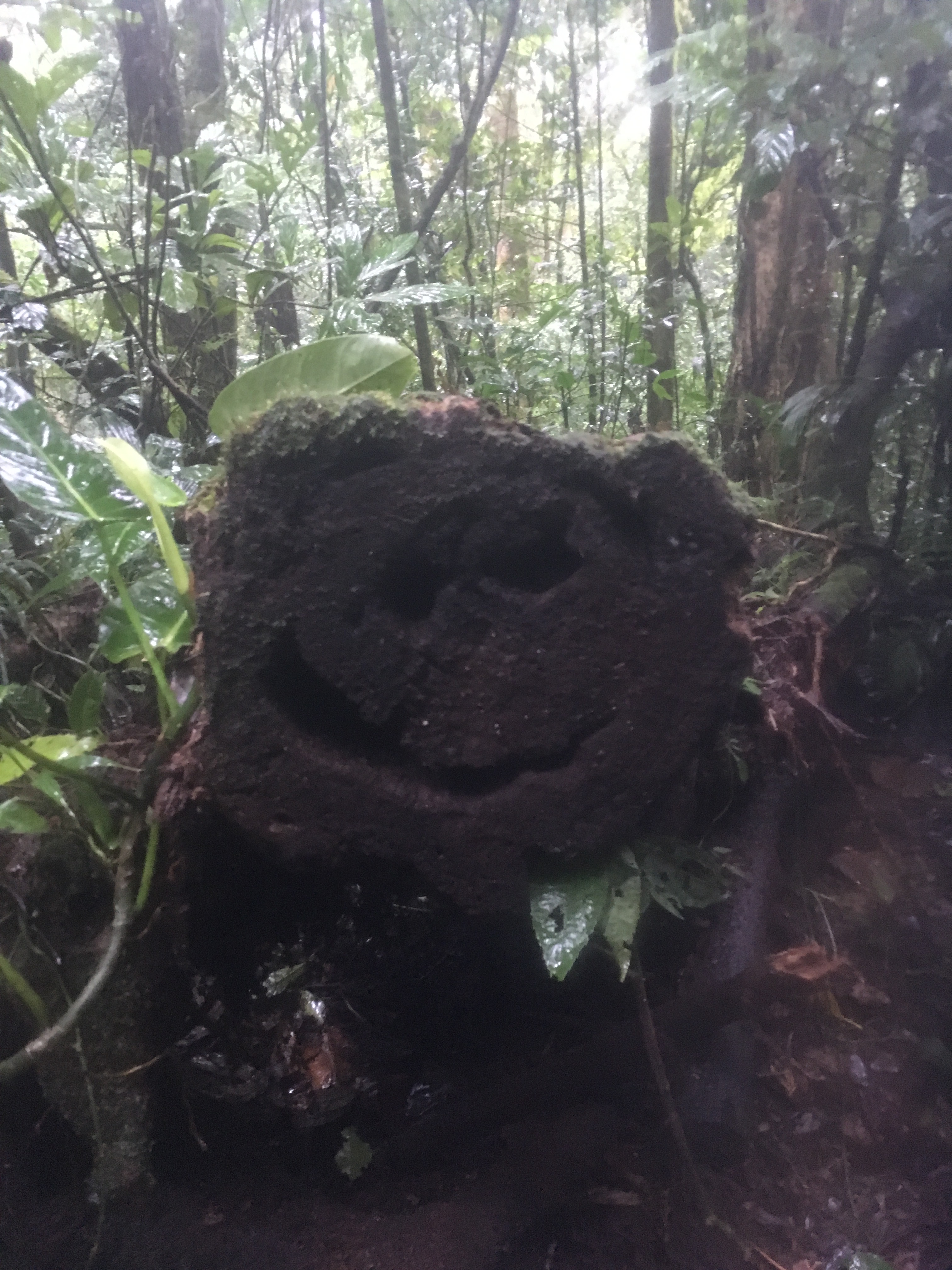 D92192ED-9F41-44A8-91AD-20D719F5489C