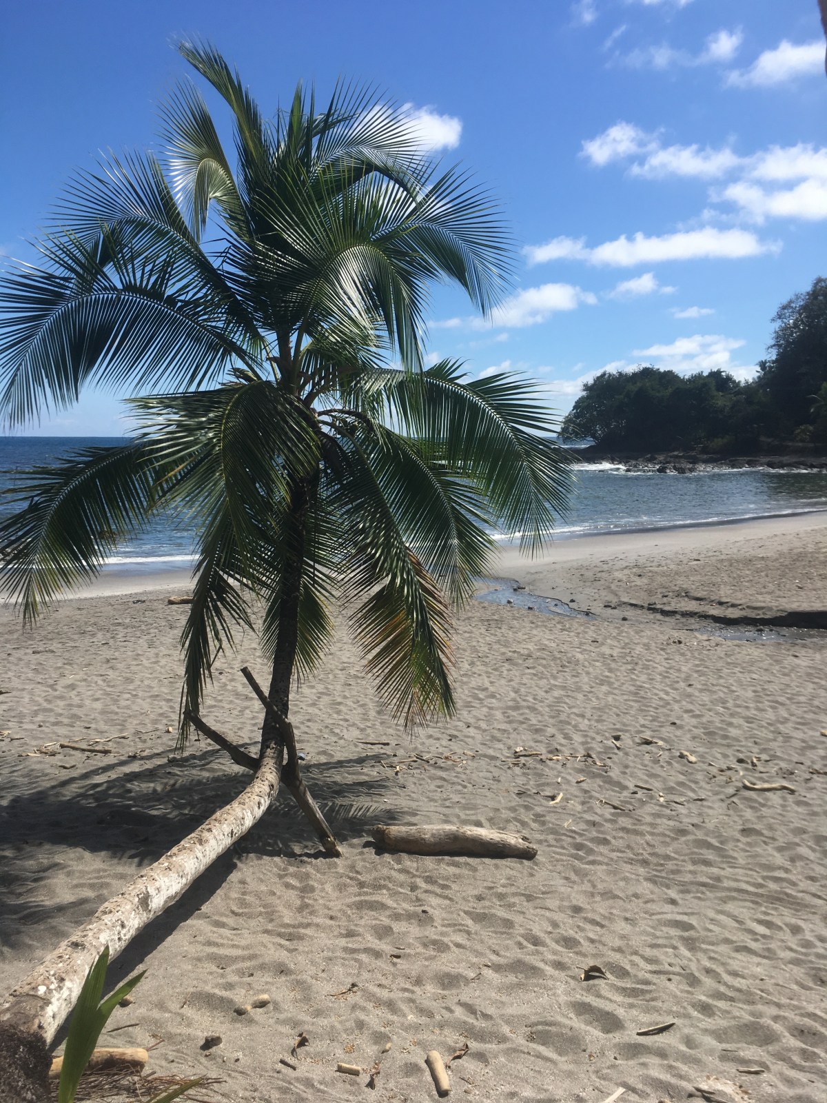 DF173246-3D02-4FAA-A683-C6EEFF784334