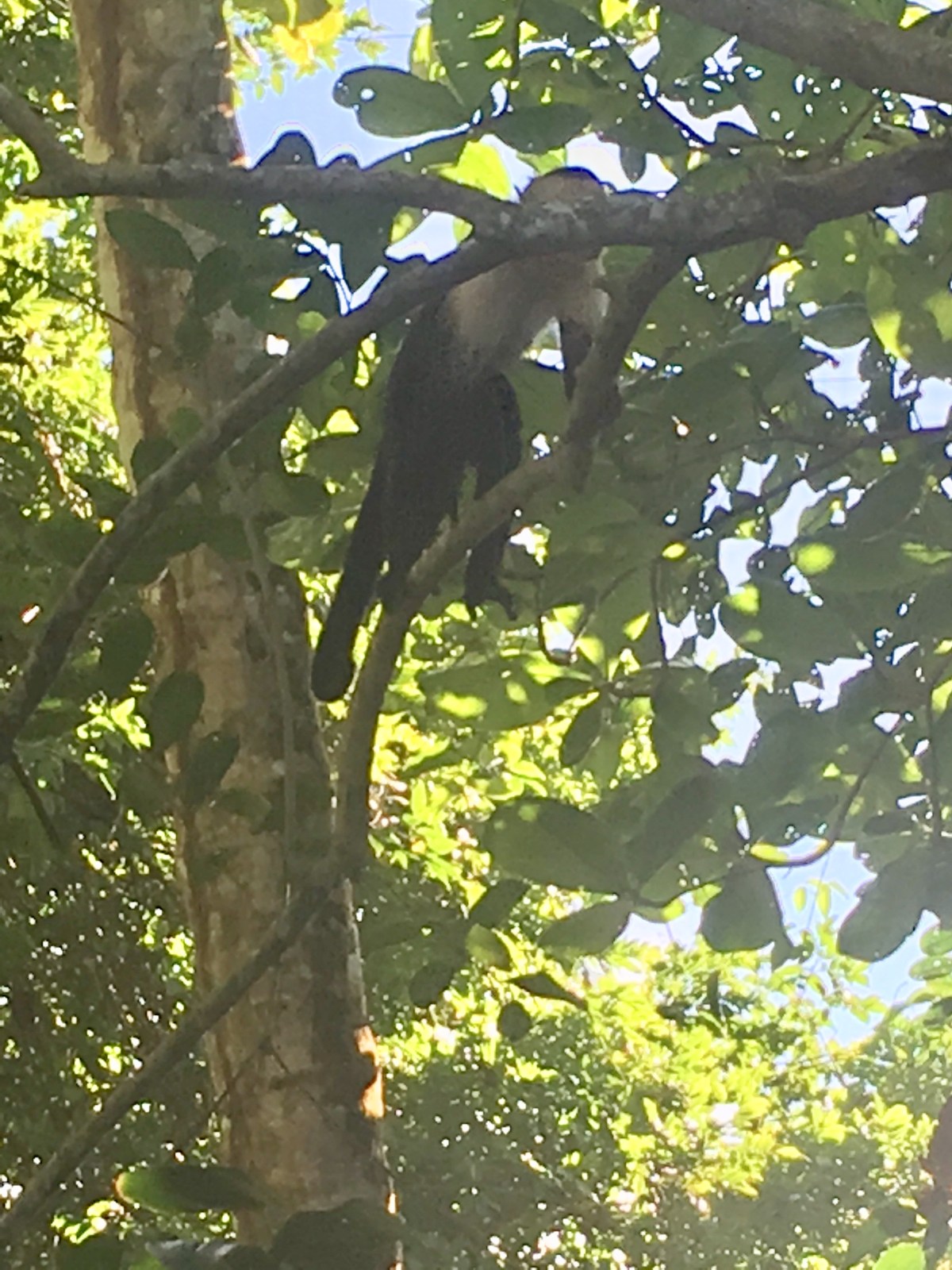 E51620C7-26F6-4915-A334-2FF742DDE884