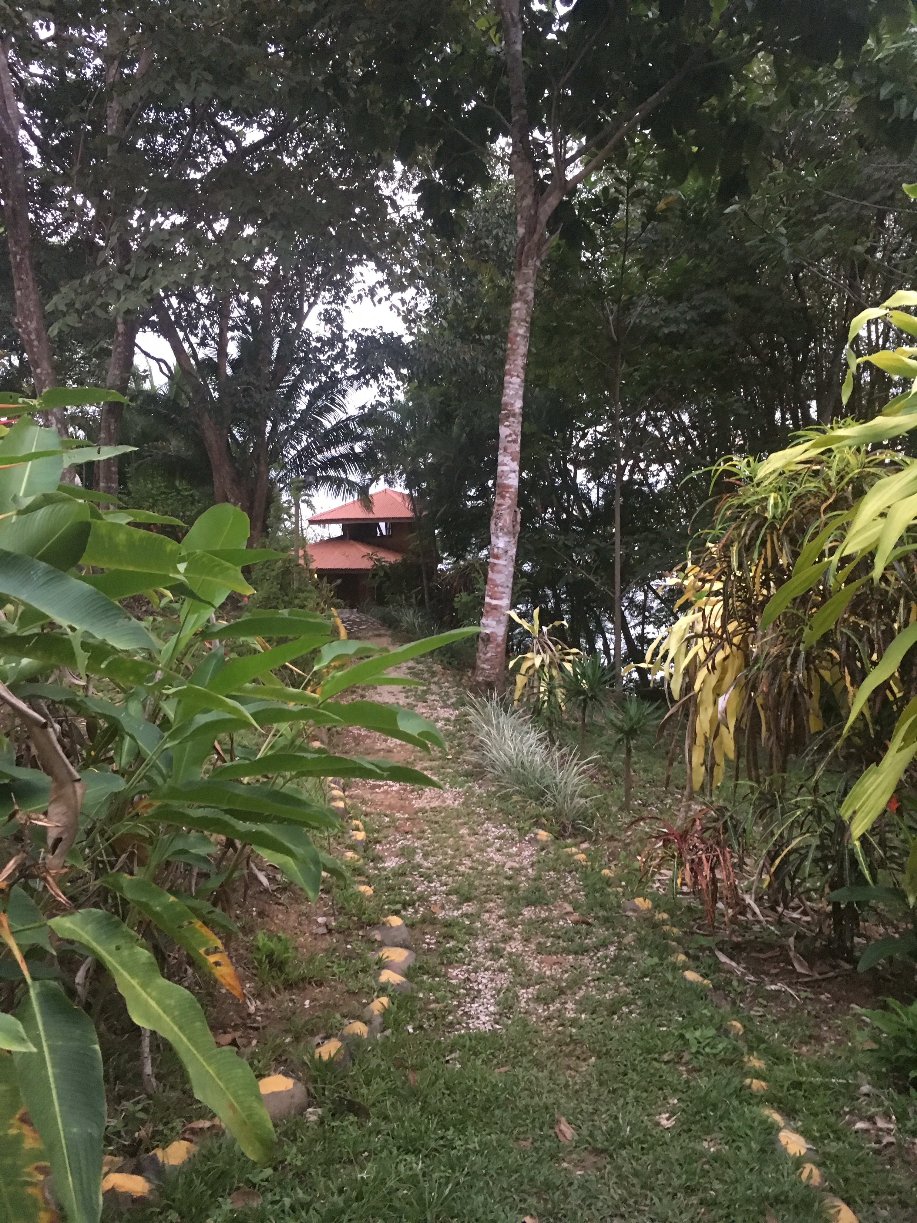 E755AE11-86FF-471F-BB05-28069906558F