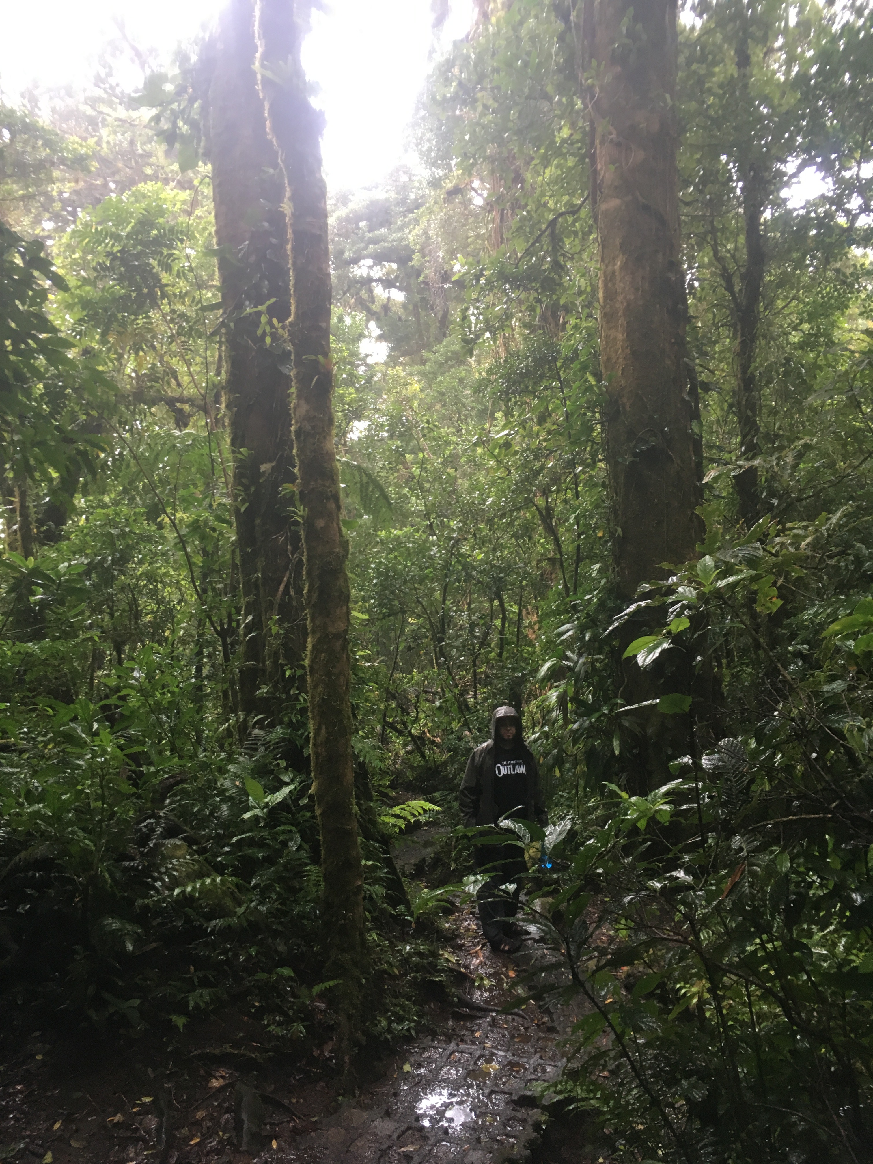 E88A8844-55A3-4871-9378-E15063663310