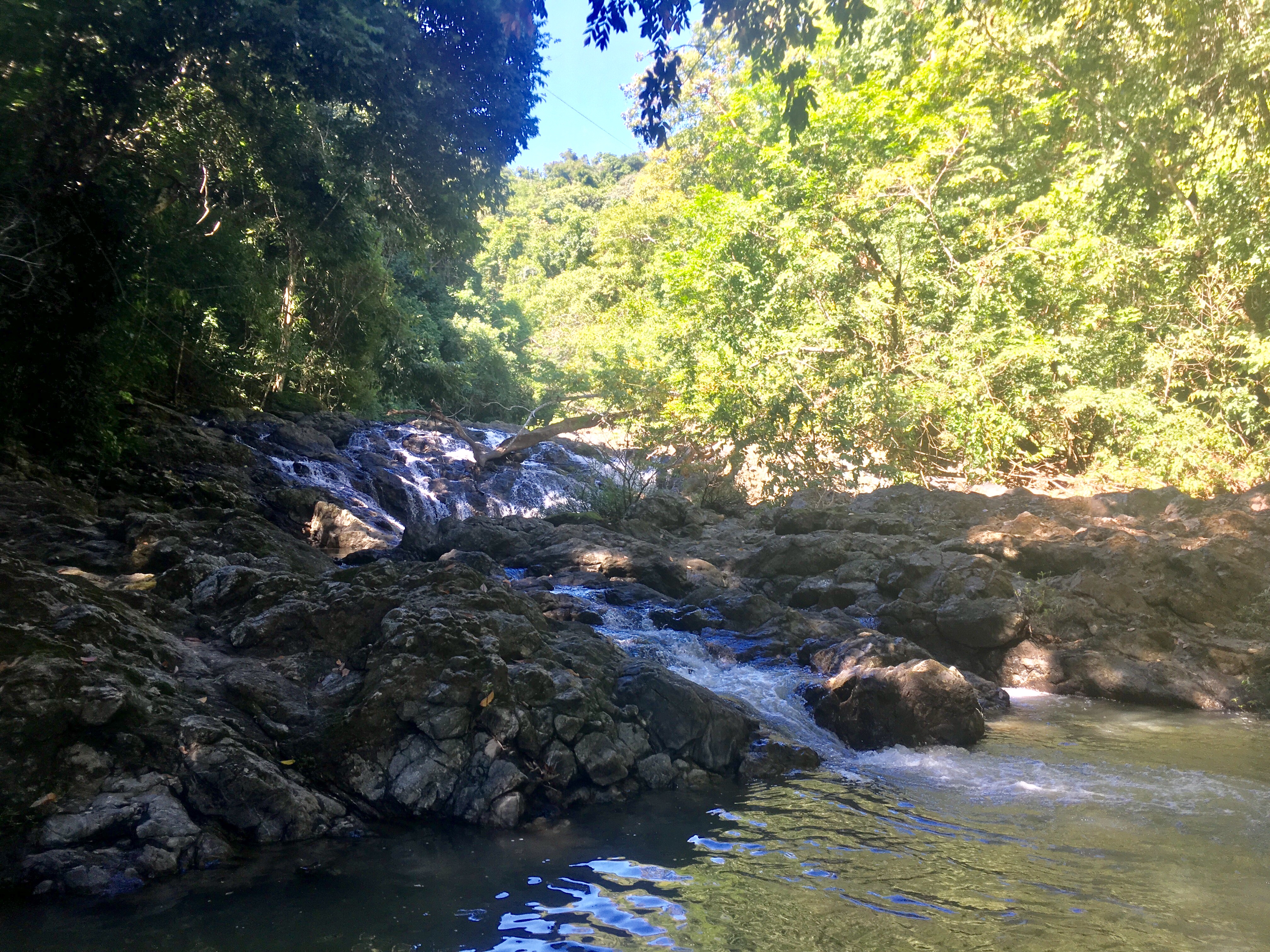 E8A0A652-F9FE-4C84-A2FB-F1654BDF7023