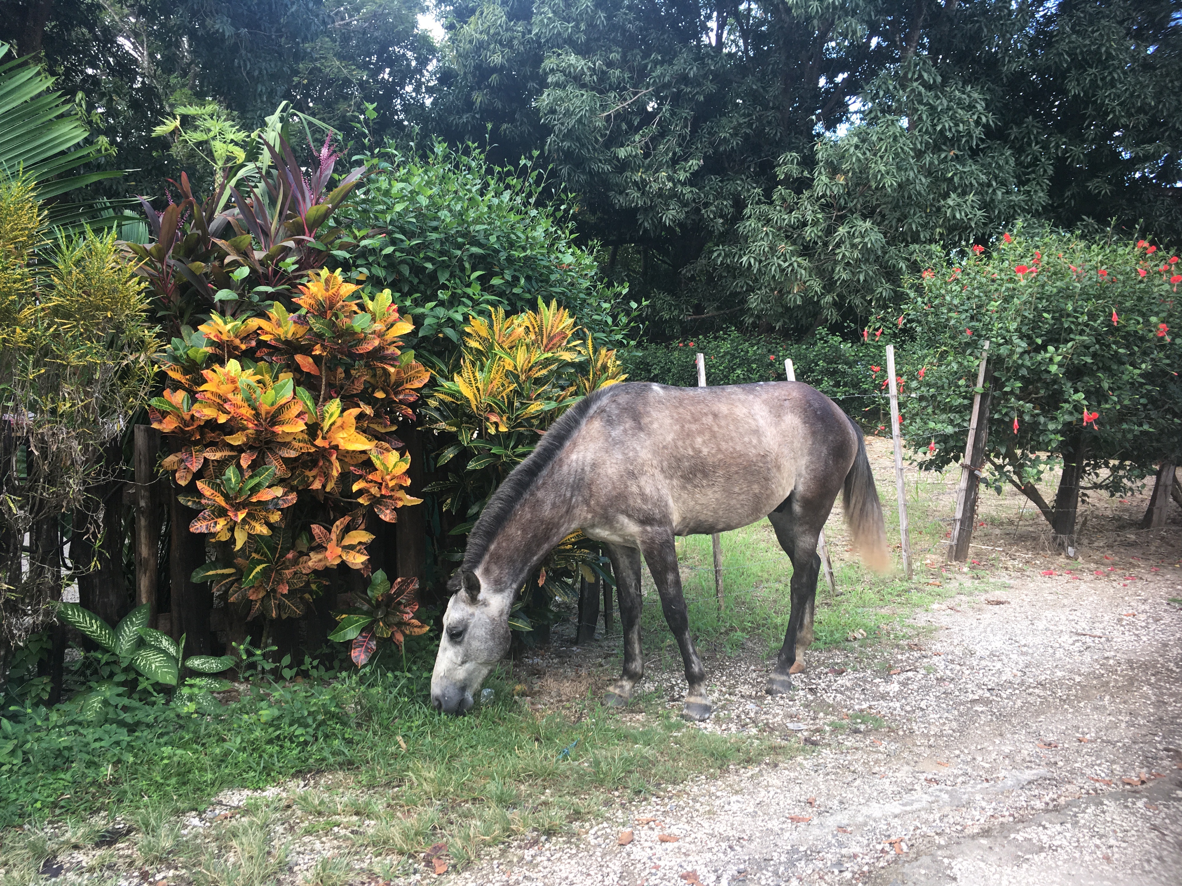 EC66272D-05A5-4044-803E-C35F7AB8606A