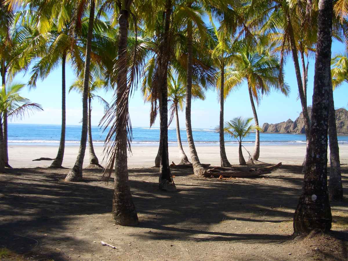 F2004191-B6DB-447A-B220-33D2573E1A93